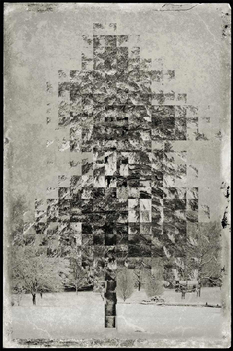 gifford_center_20.jpg