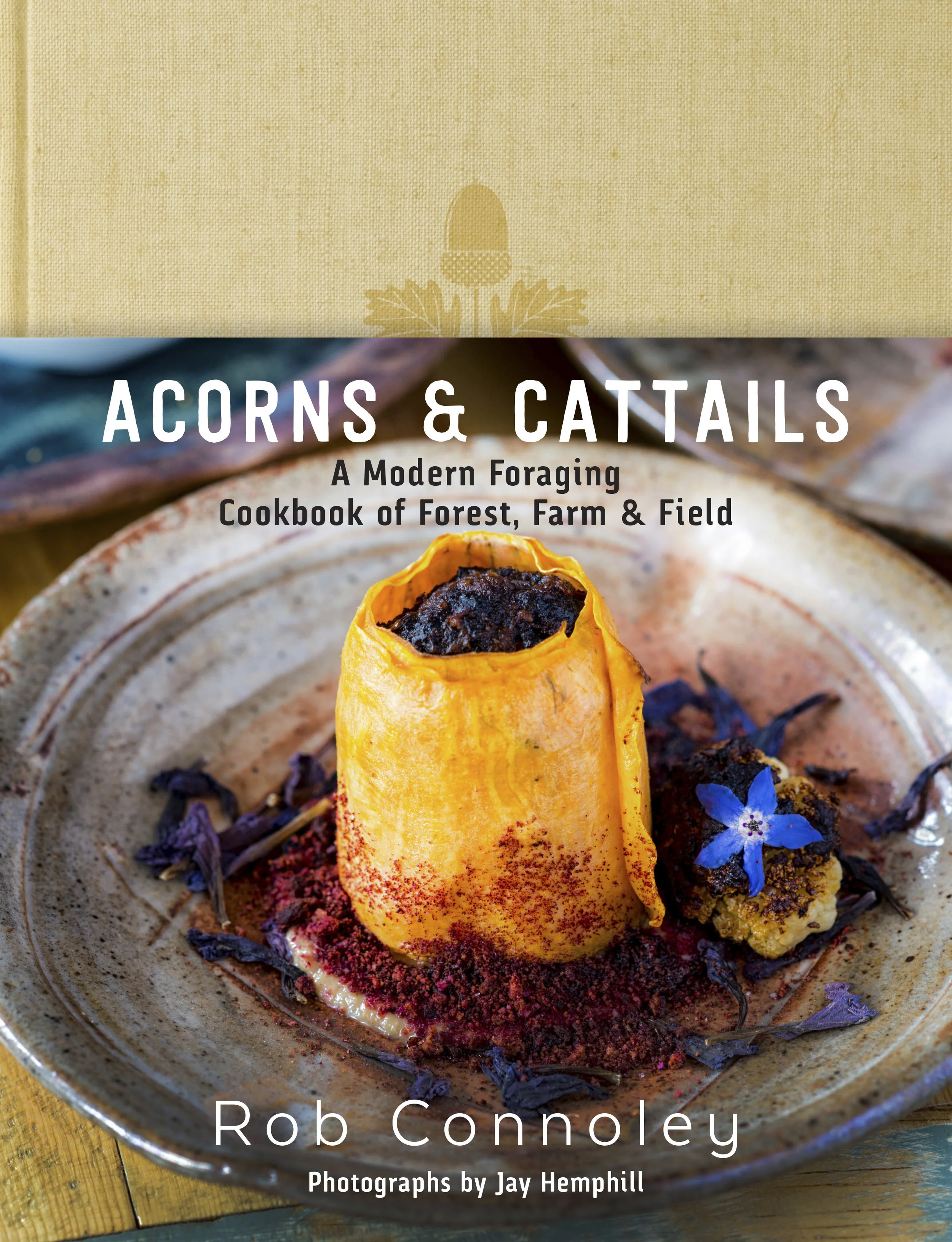 Acorns and Cattails