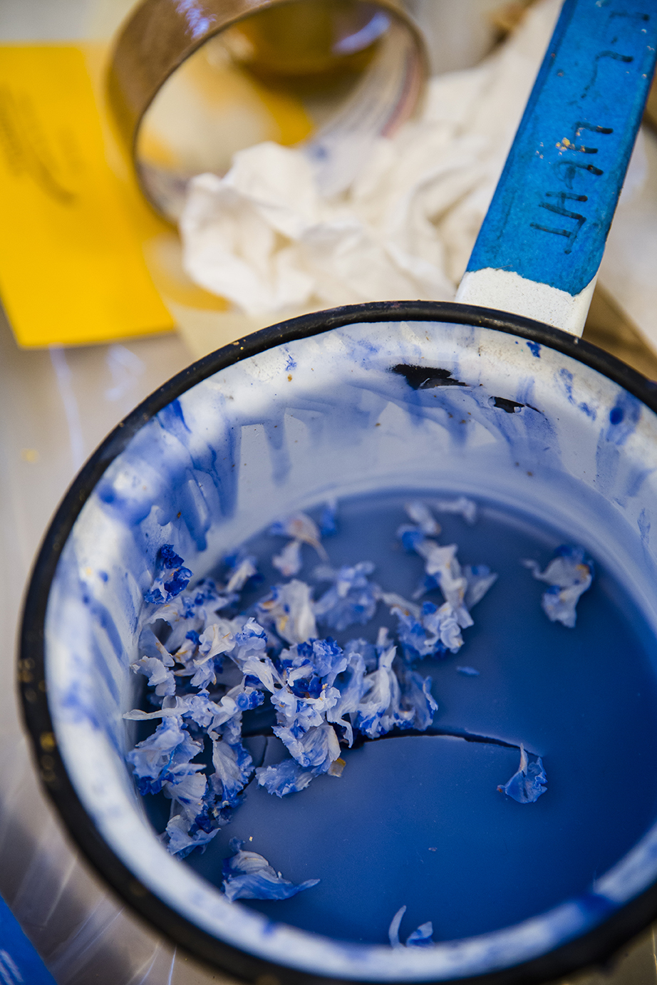 for website Lapis in the Studio with Maggie by Nousha Salimi 2014.jpg