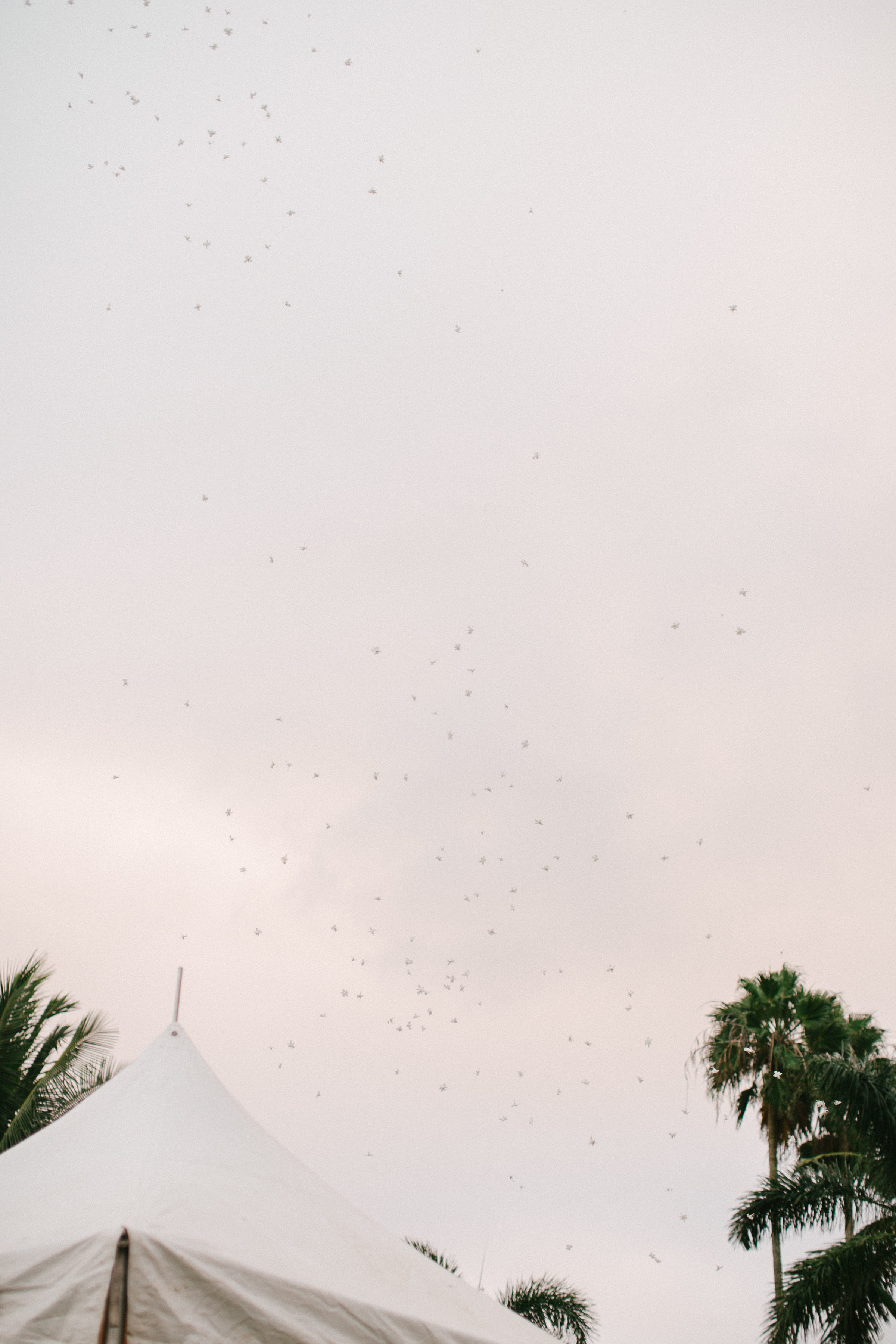 Lindsey+Alex-599.jpg