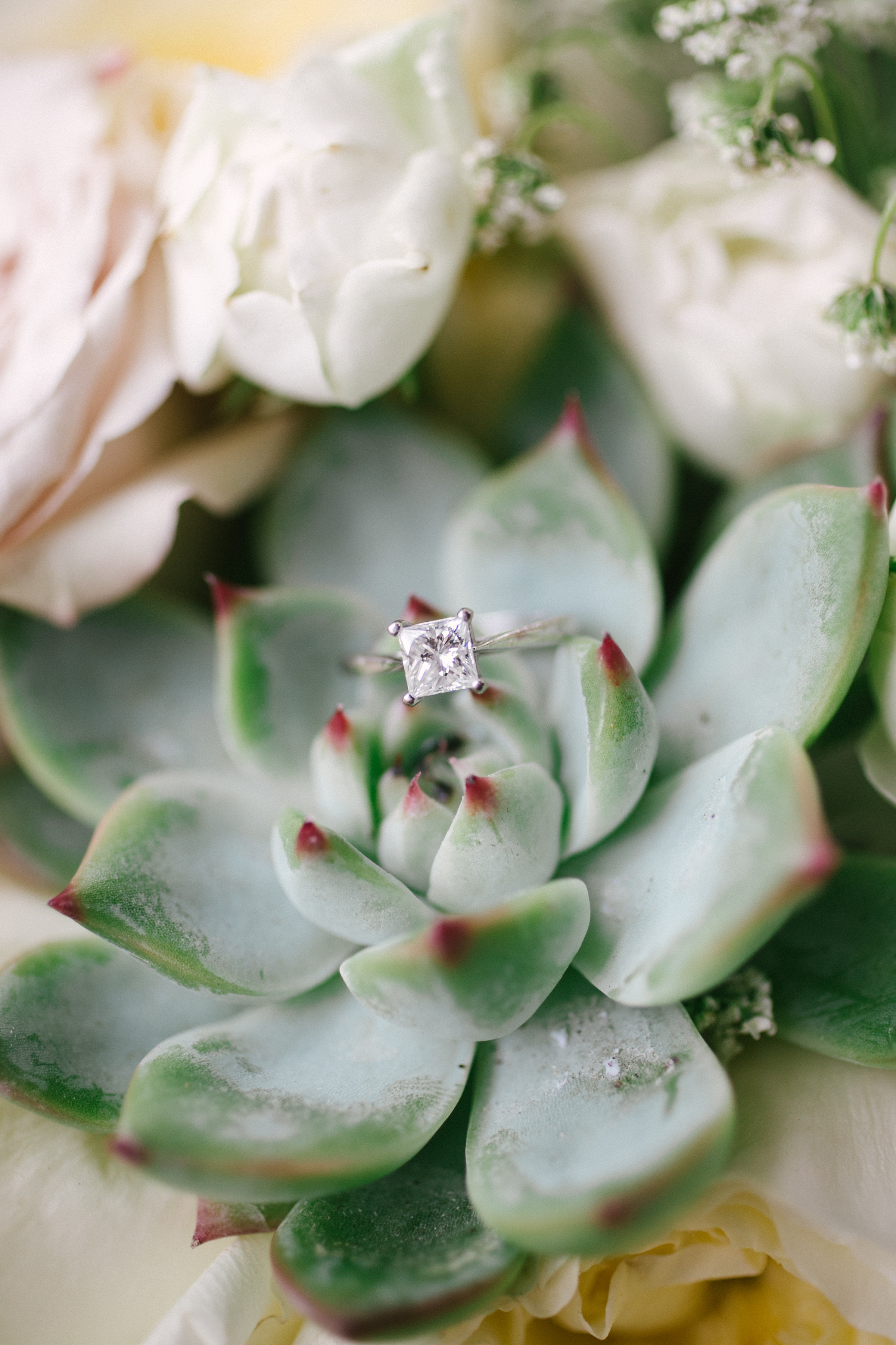 Stephanie+Jake-10.jpg
