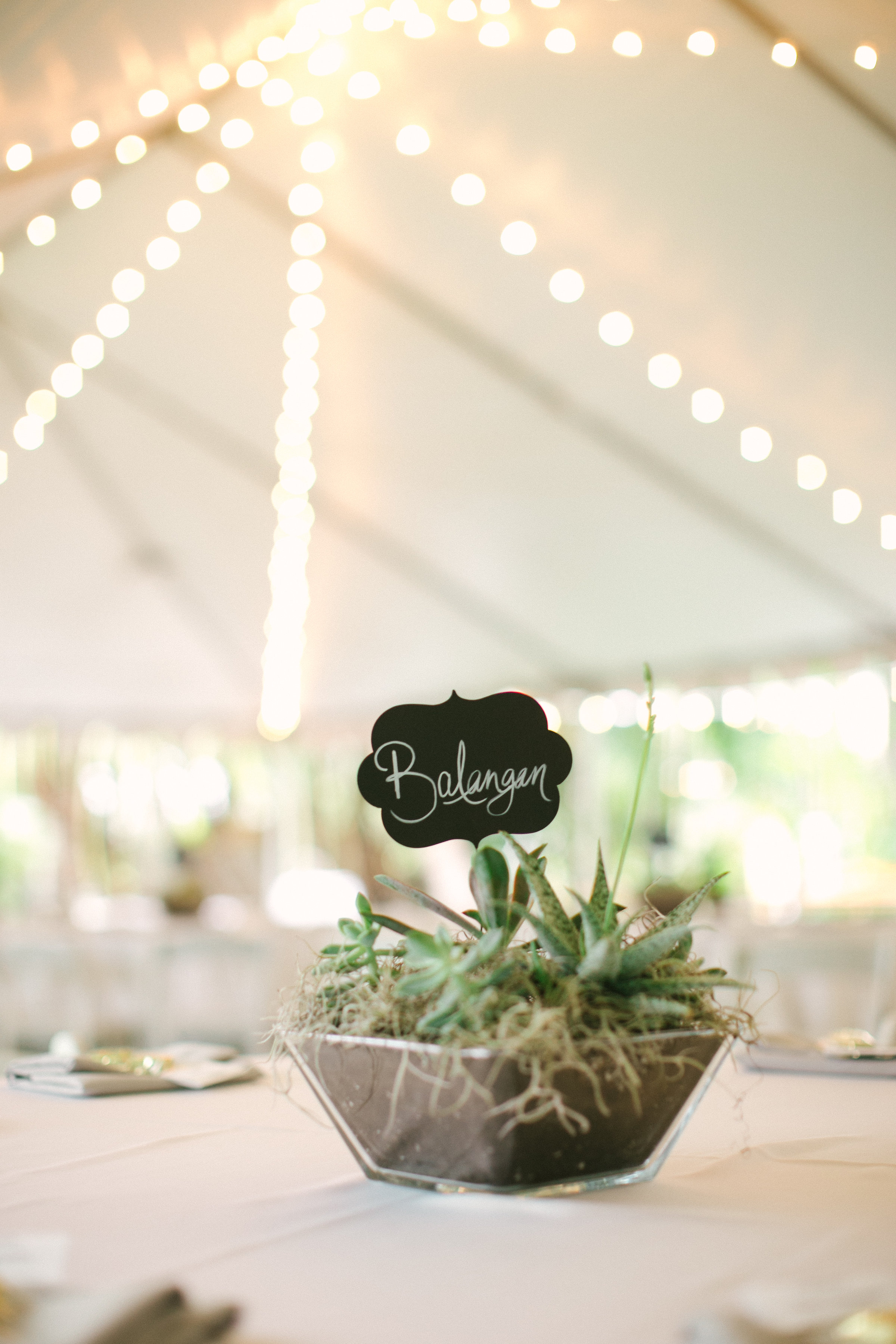 Stephanie+Jake-785.jpg