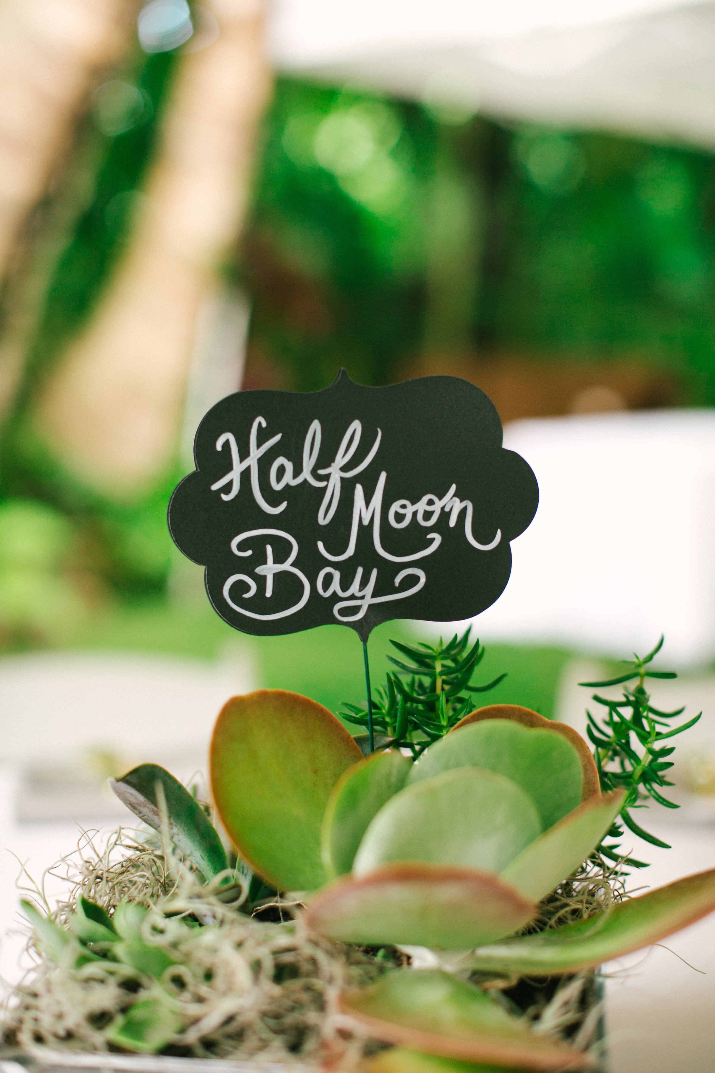 Stephanie+Jake-784.jpg
