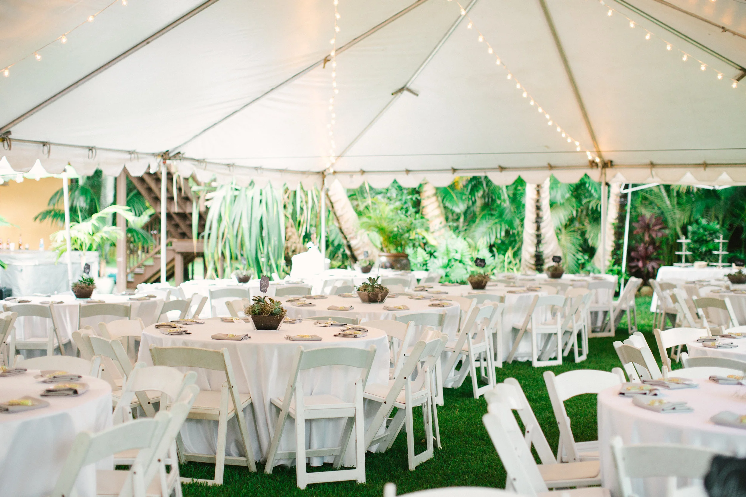 Stephanie+Jake-794.jpg