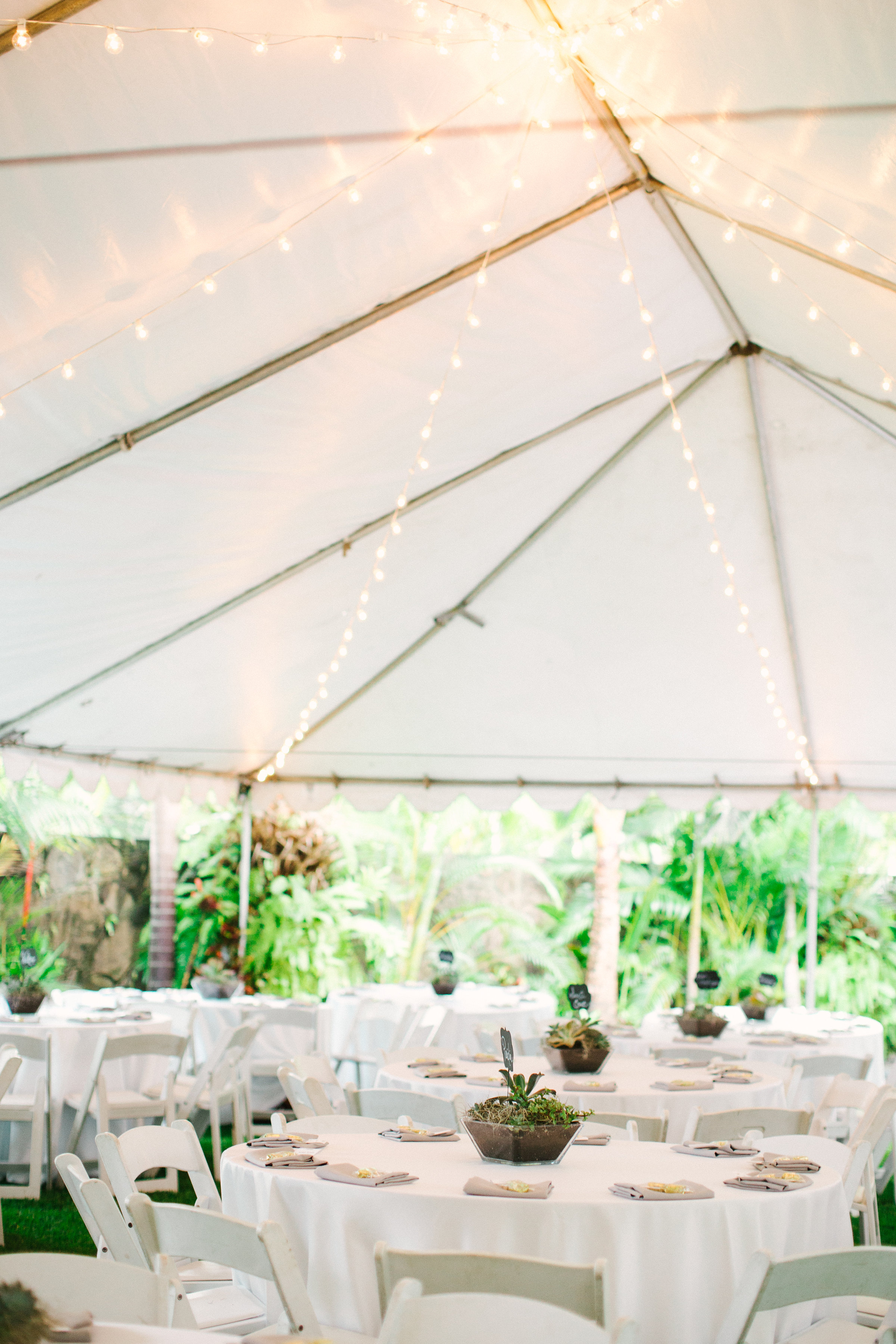 Stephanie+Jake-810.jpg