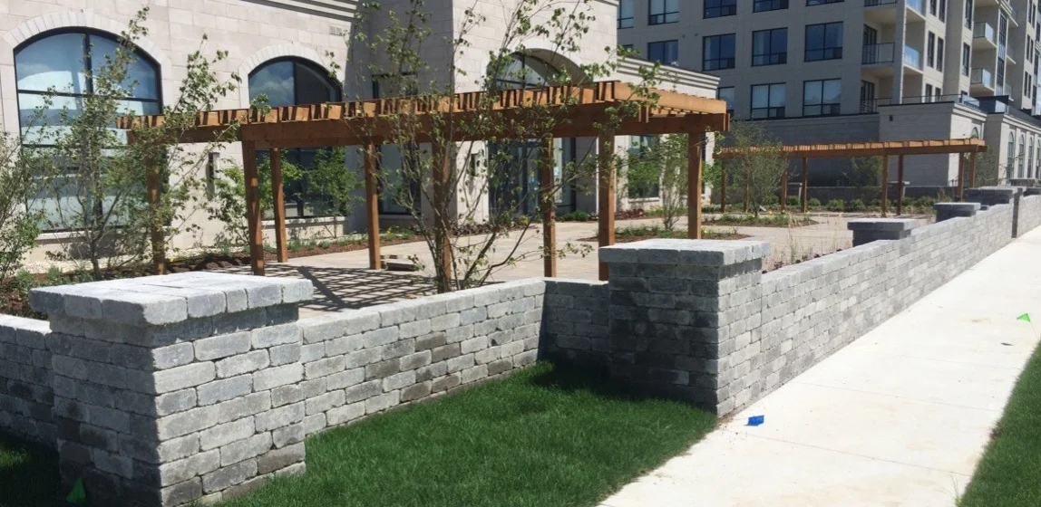 Large Pergolas for a Shared Space