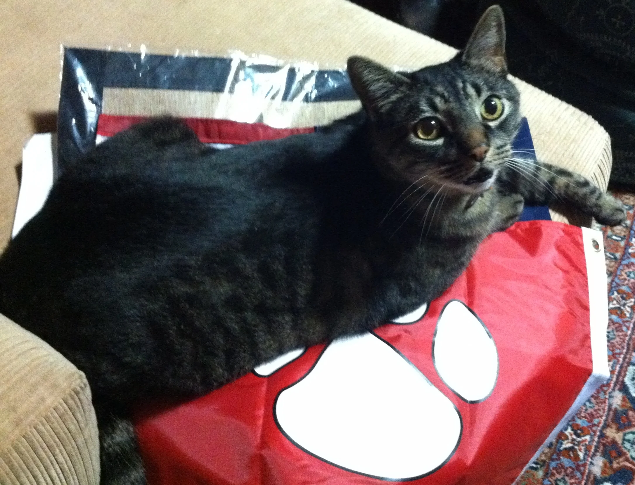 Northwest Flower and Garden Show