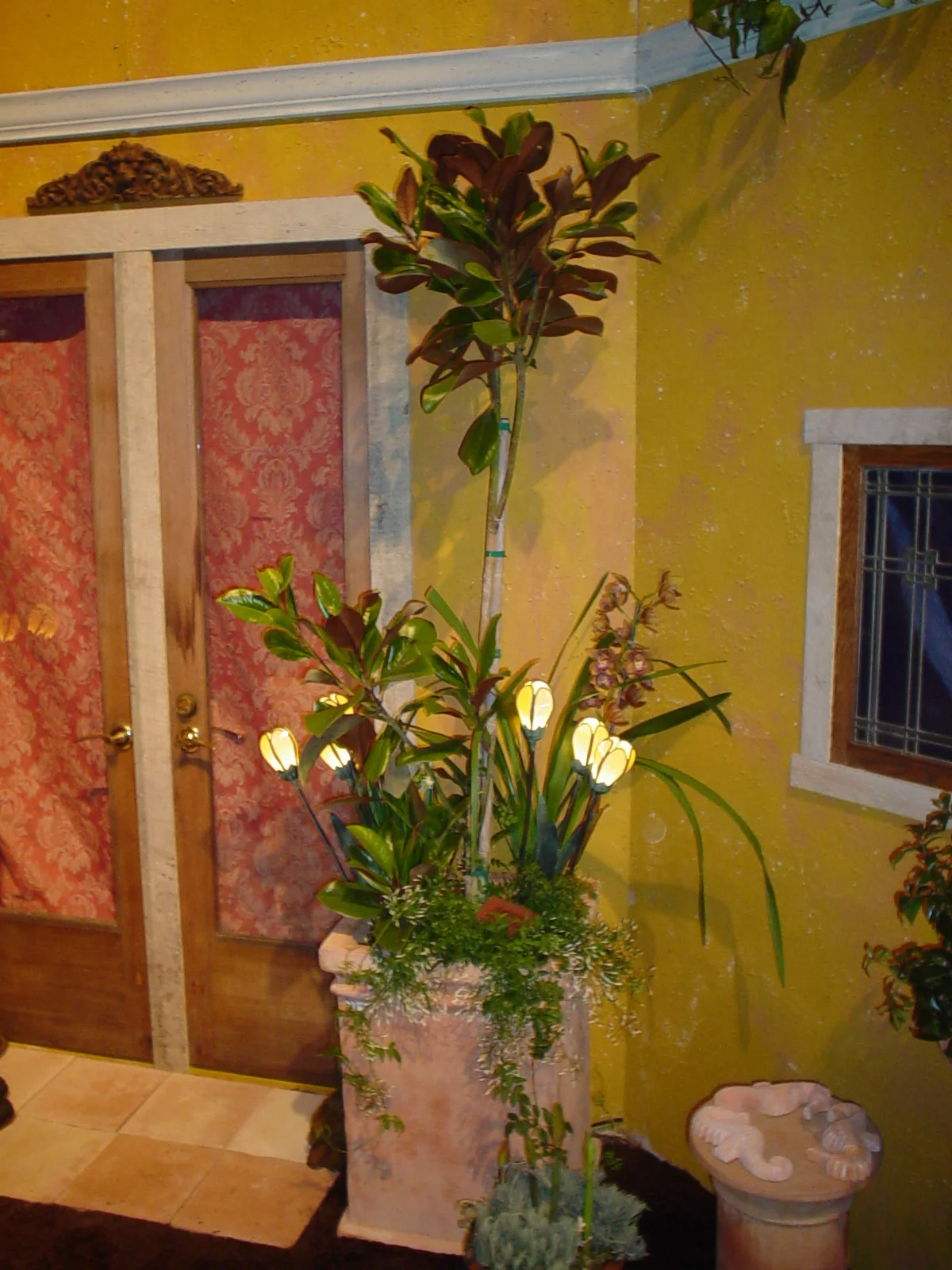 DSC00034.jpg