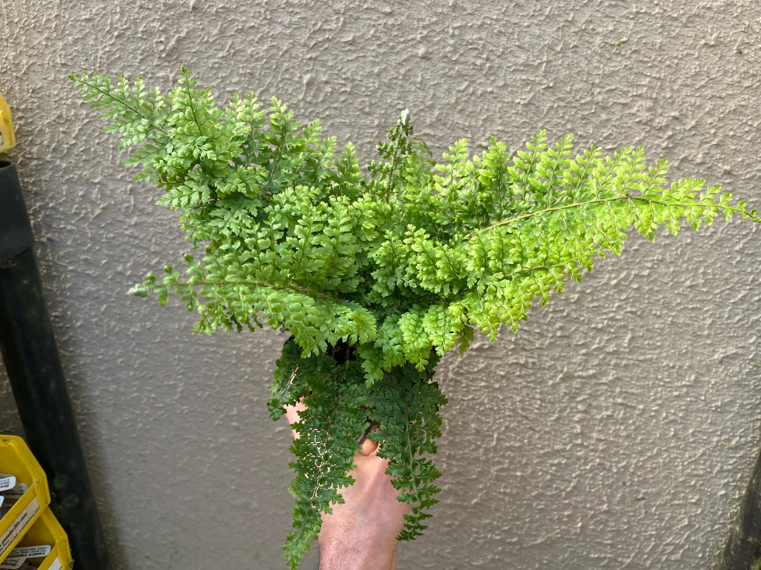 3F515507-145E-499F-989F-A0BF89777899.jpeg