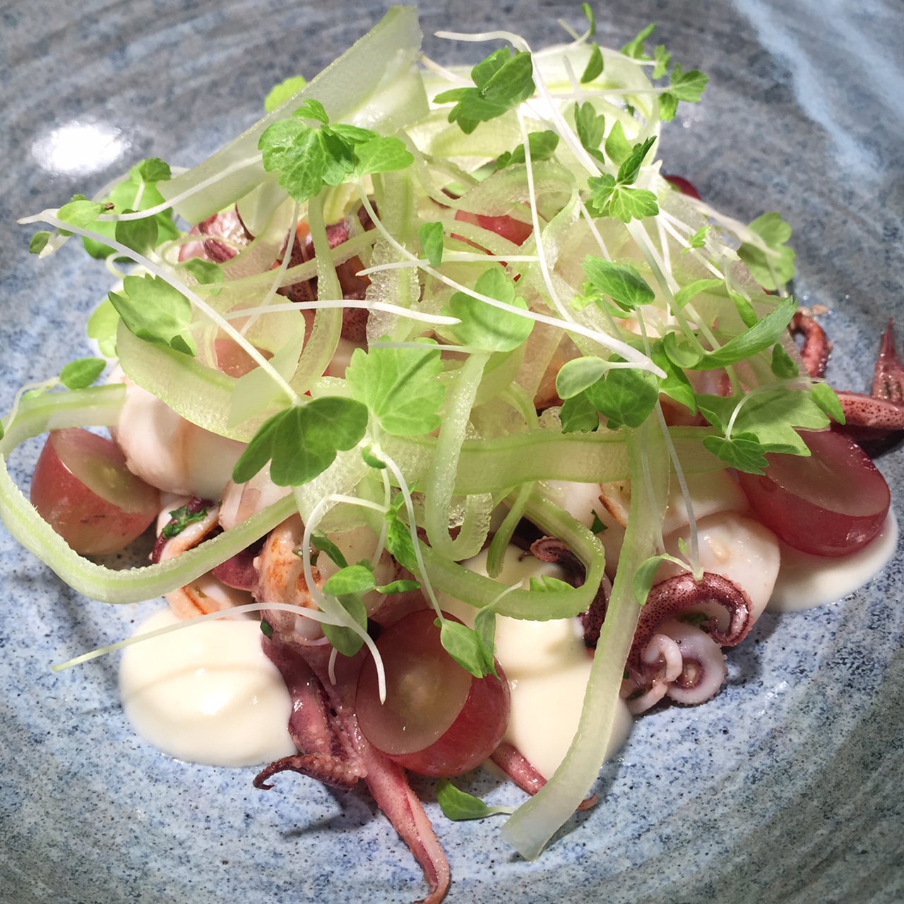 LOCAL SQUID