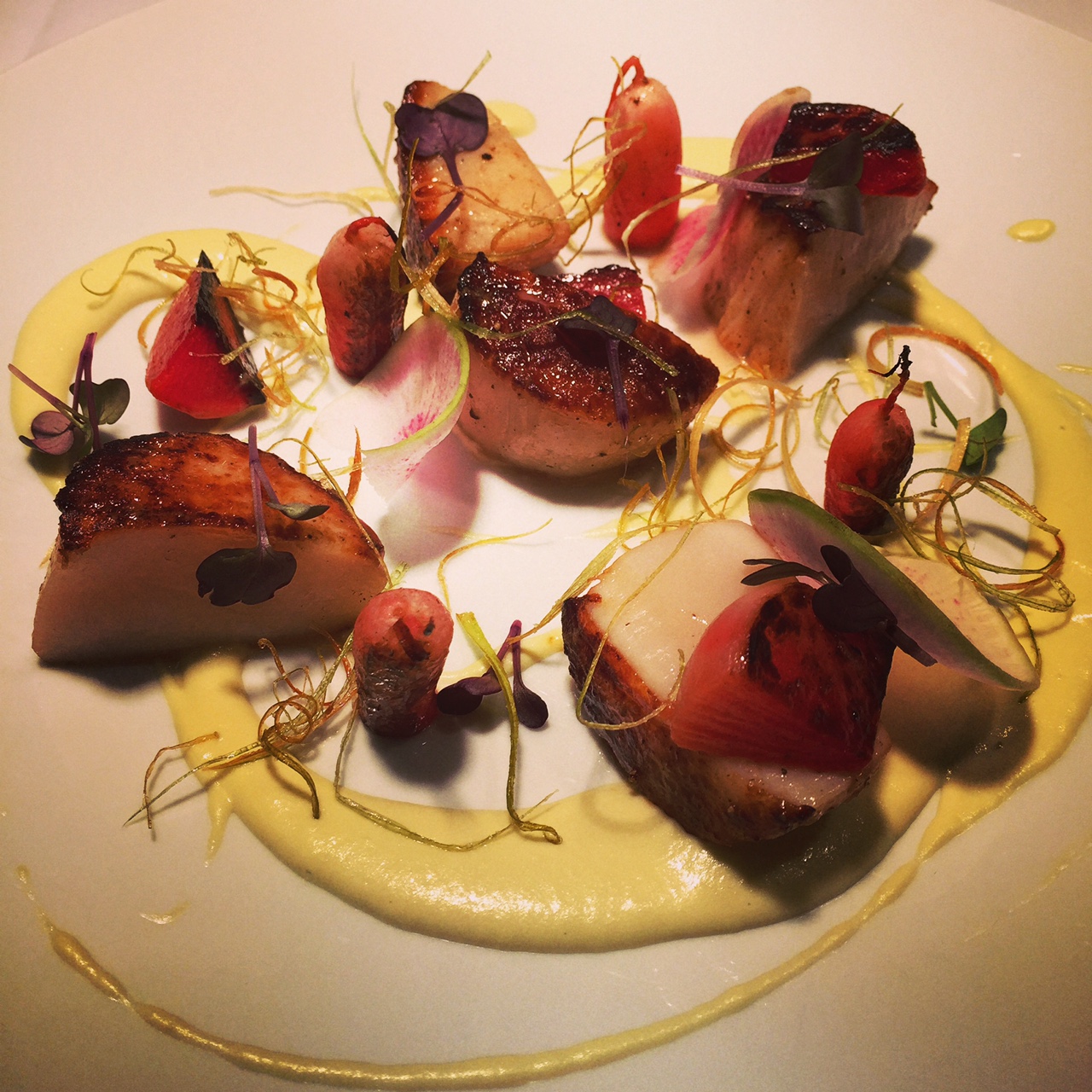 SCALLOPS