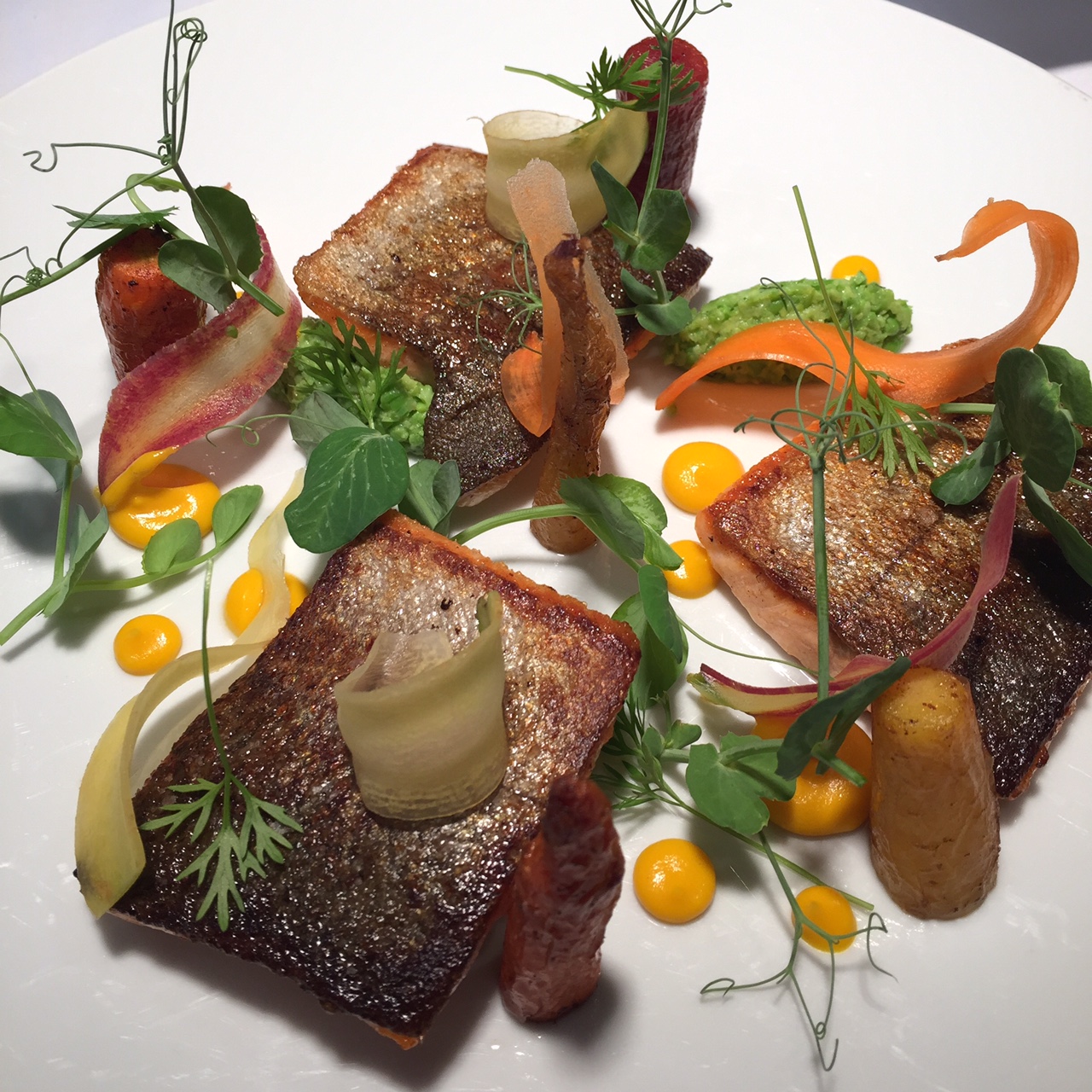 PASSMORE RANCH TROUT