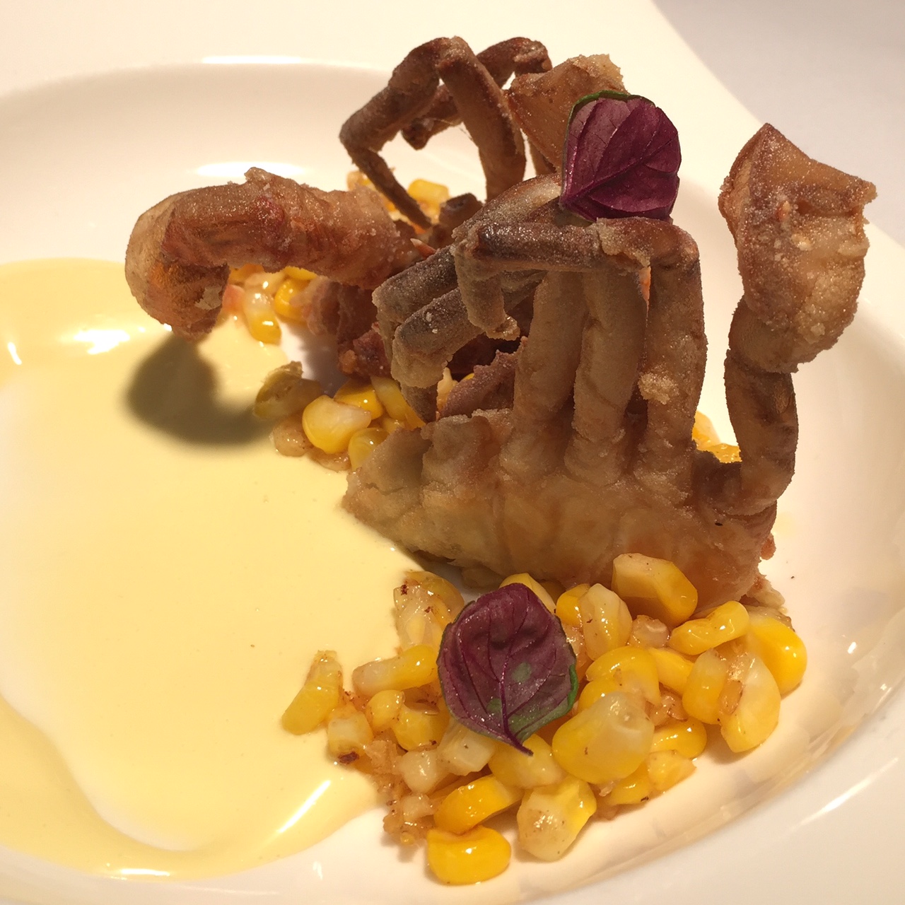 SOFT SHELL