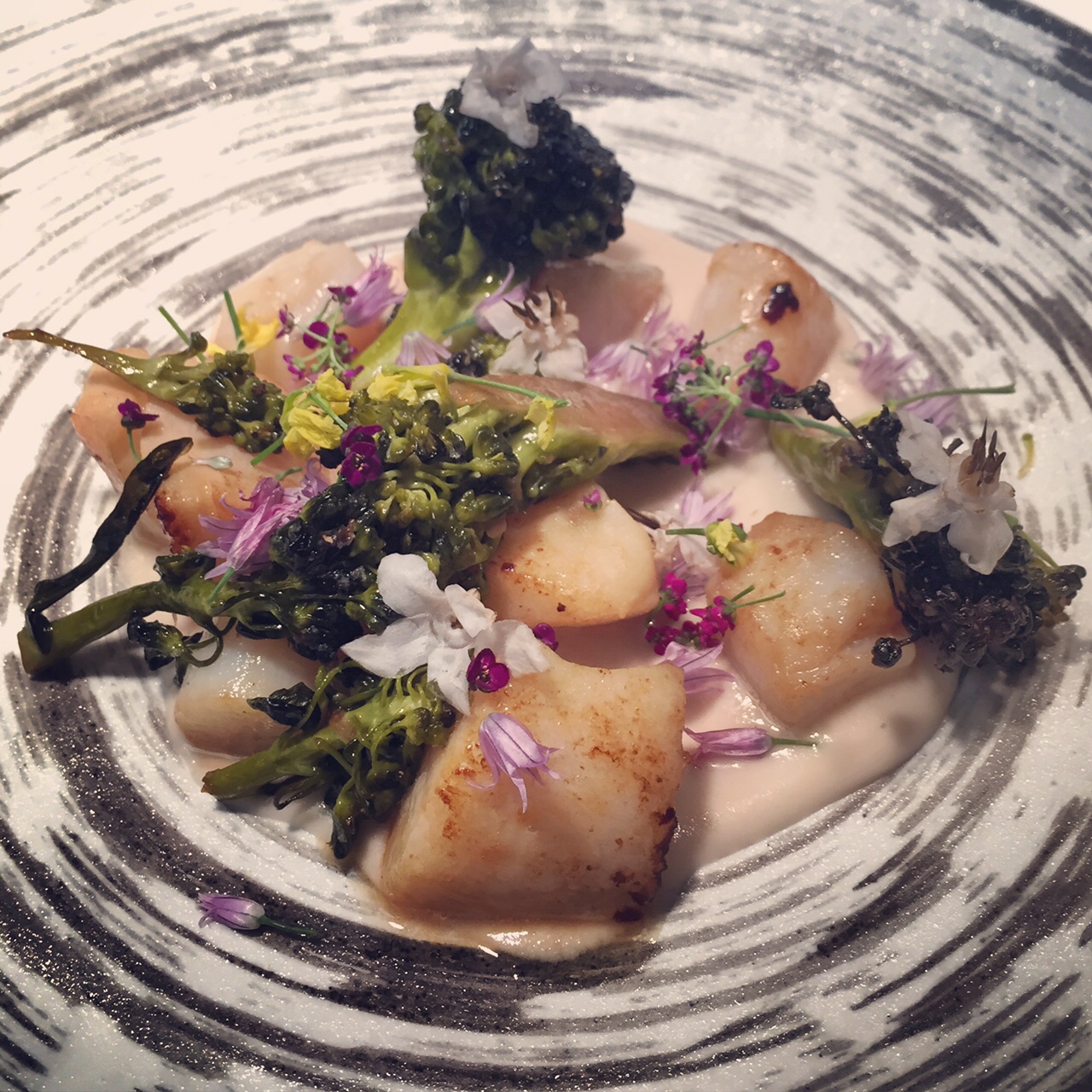 SCALLOPS