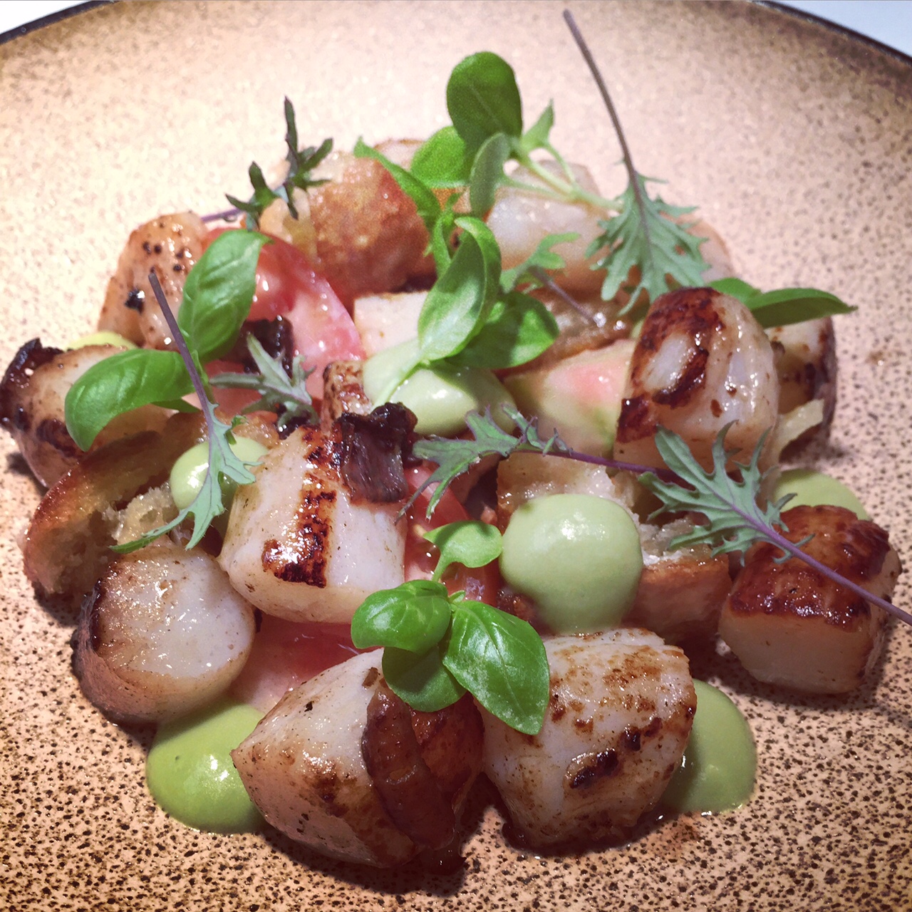 SCALLOPS