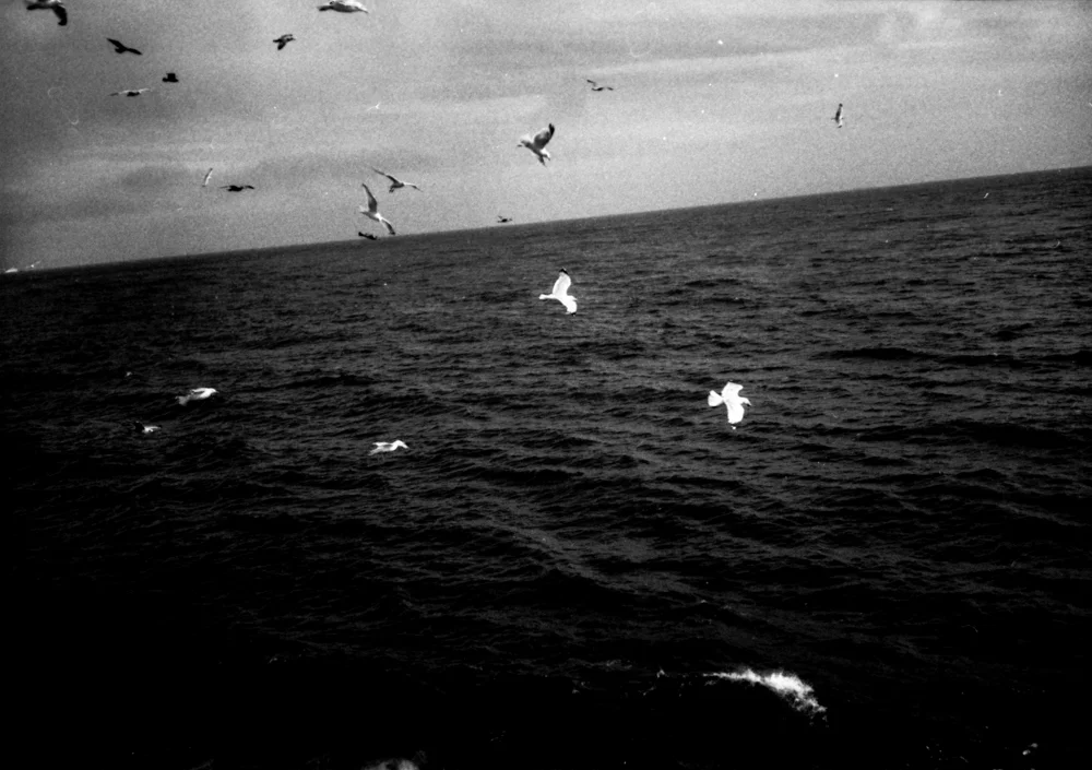 img030.jpg