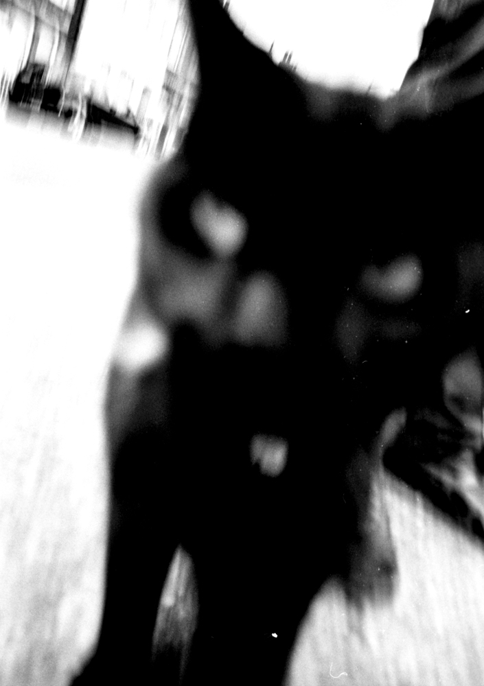 img027.jpg