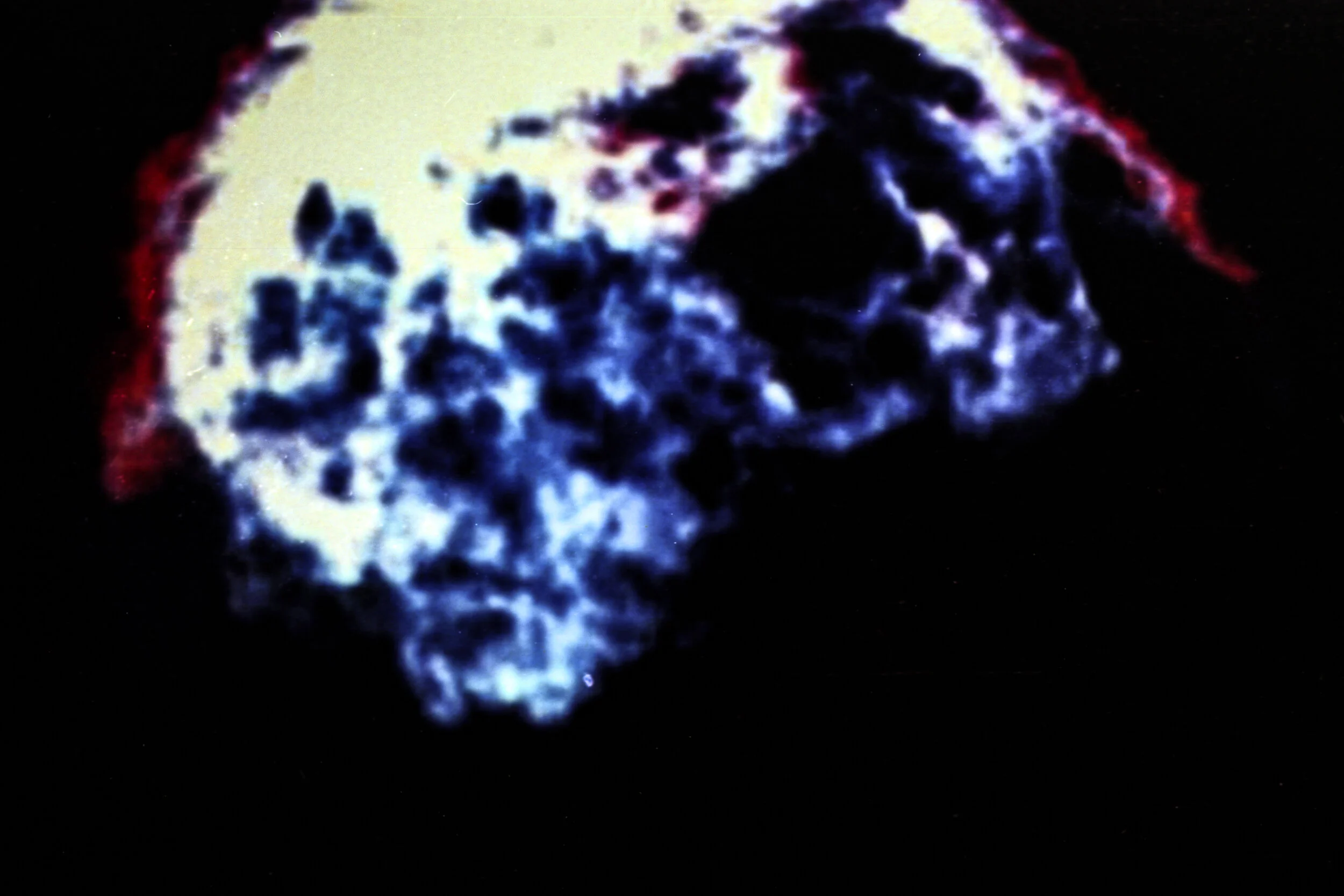 img20201108_15460606.jpg