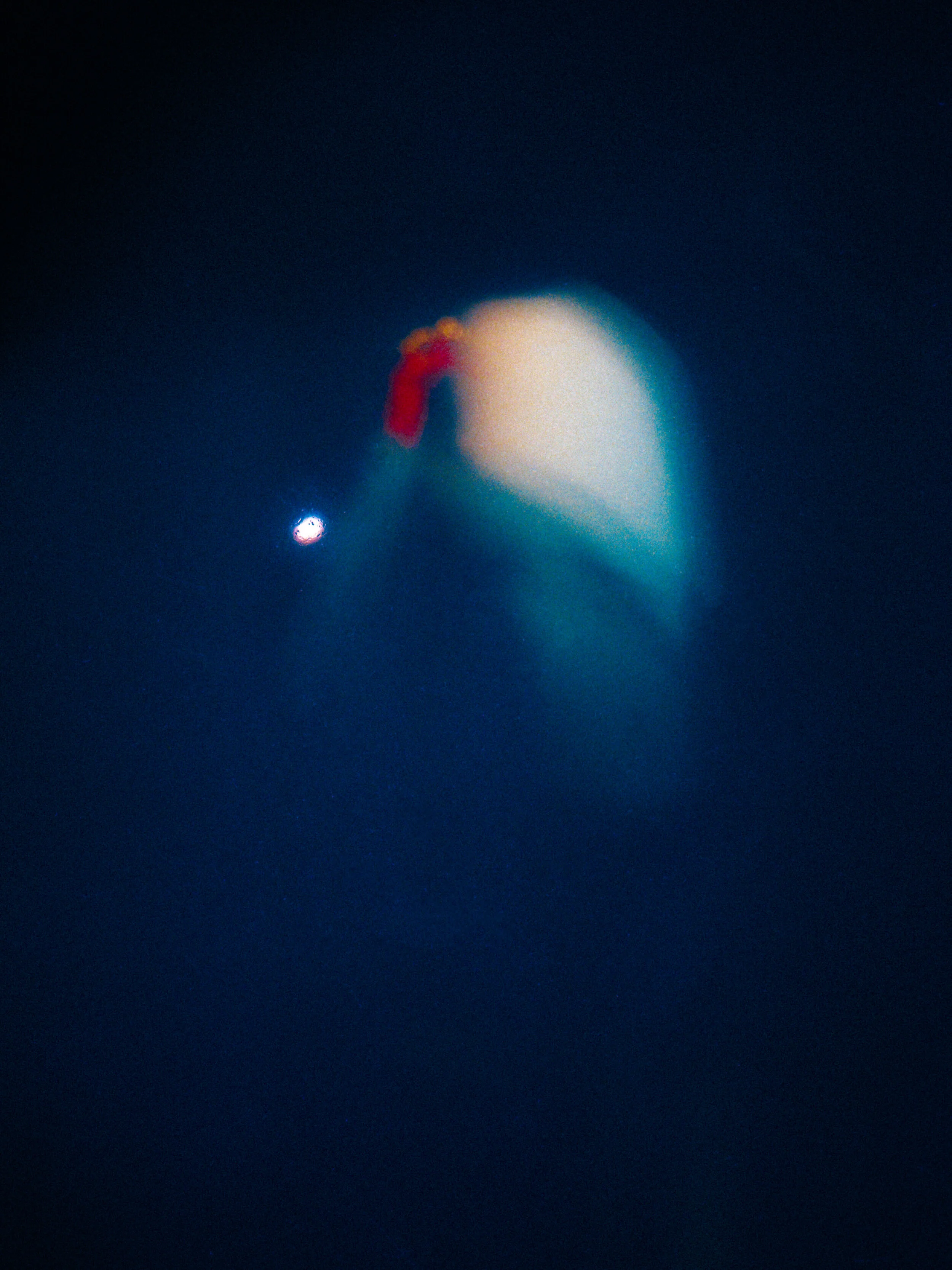 img20201108_12224117-Edit.jpg