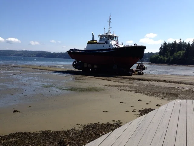Waiting for the tide
