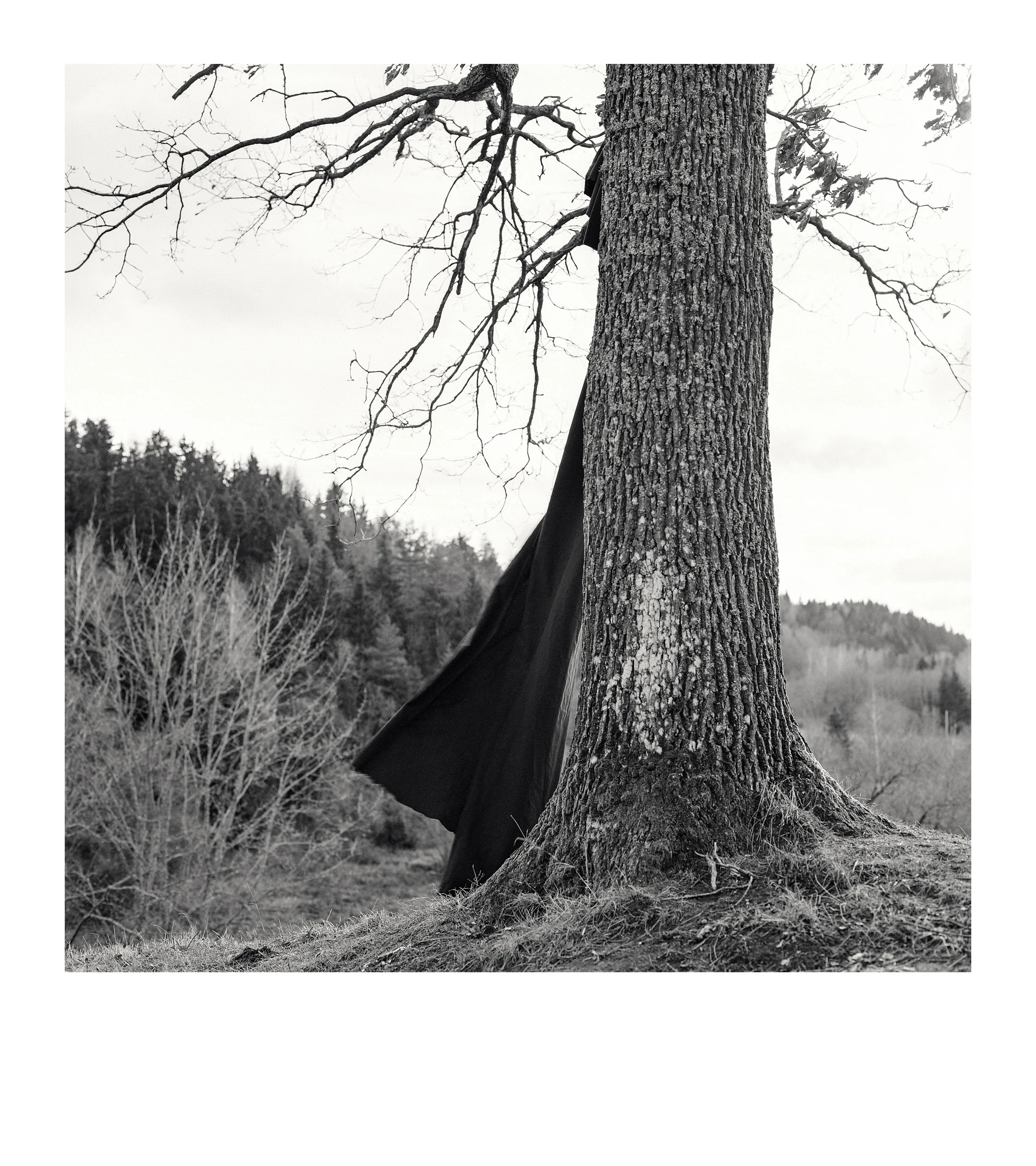 From the series “Paraiškos / Applications”
