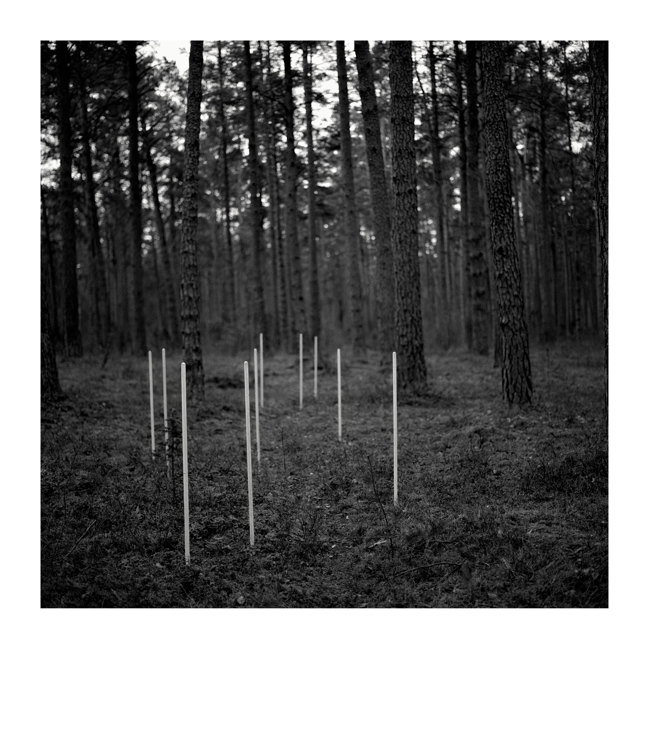 From the series “Paraiškos / Applications”