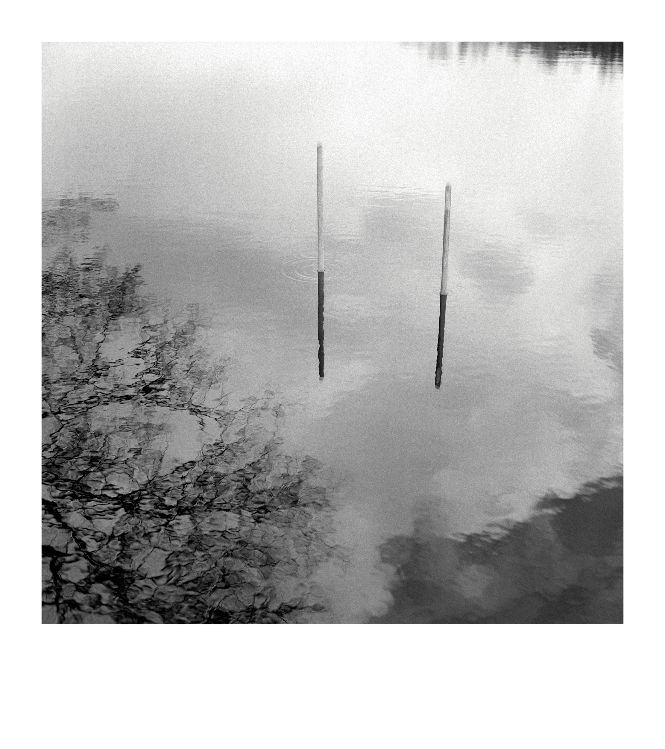 From the series “Paraiškos / Applications”