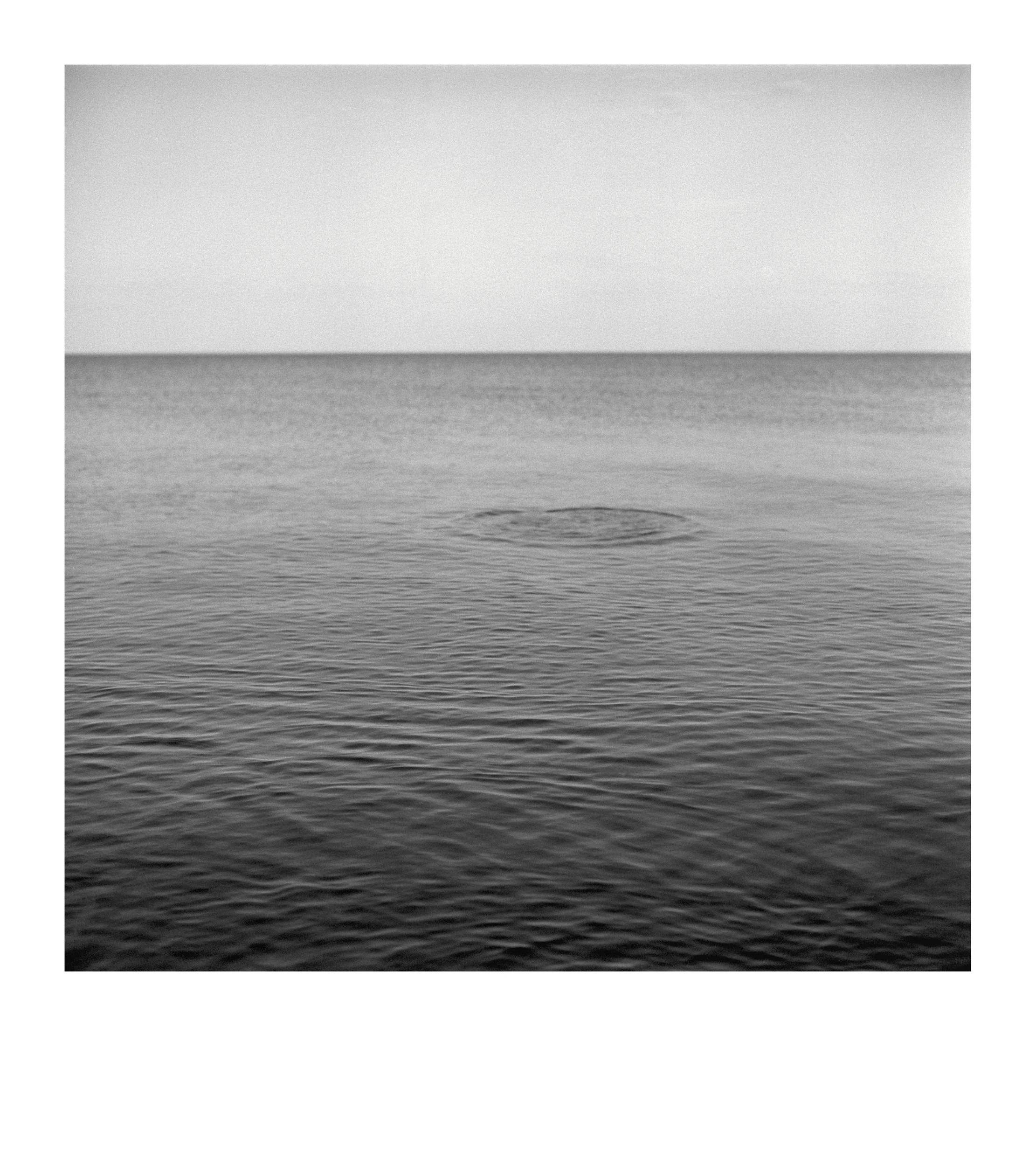 From the series “Paraiškos / Applications”