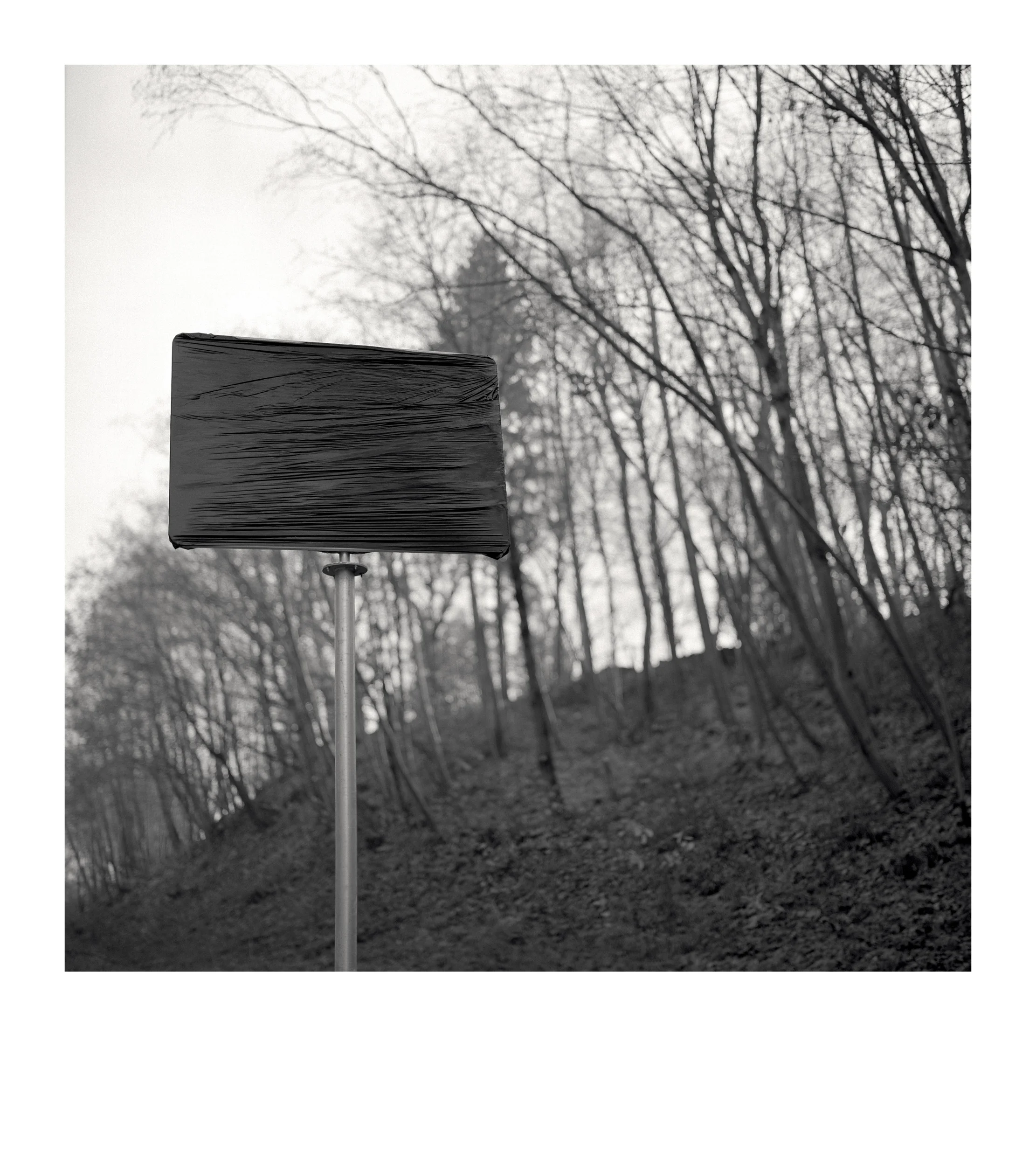 From the series “Paraiškos / Applications”