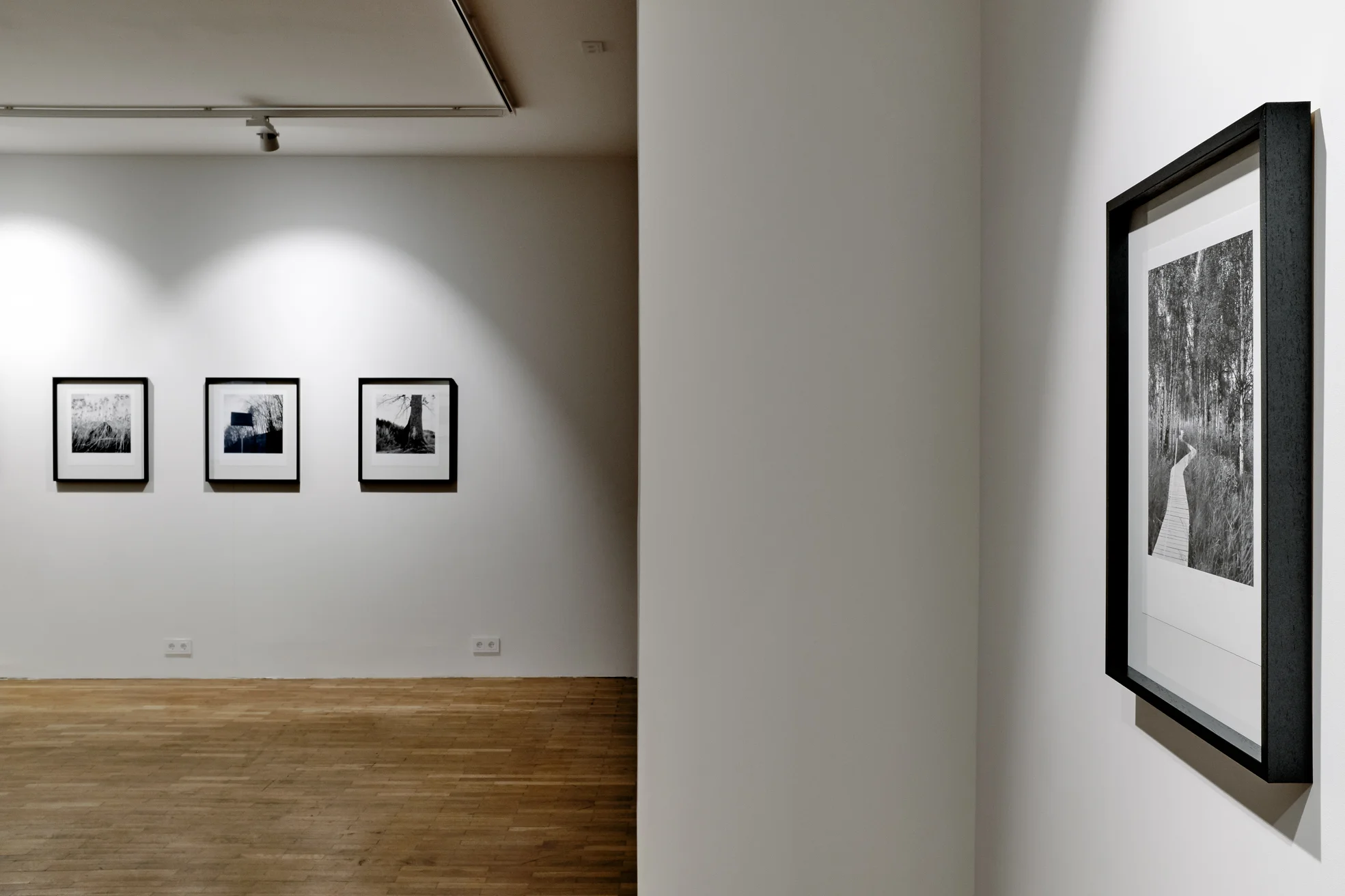 Installation View / Photography exhibition Applications