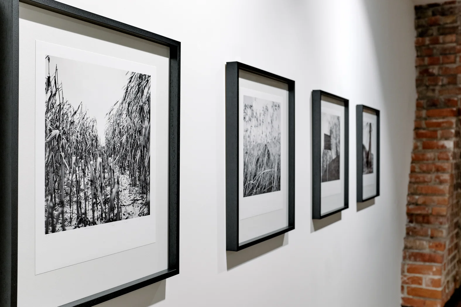 Installation View / Photography exhibition Applications