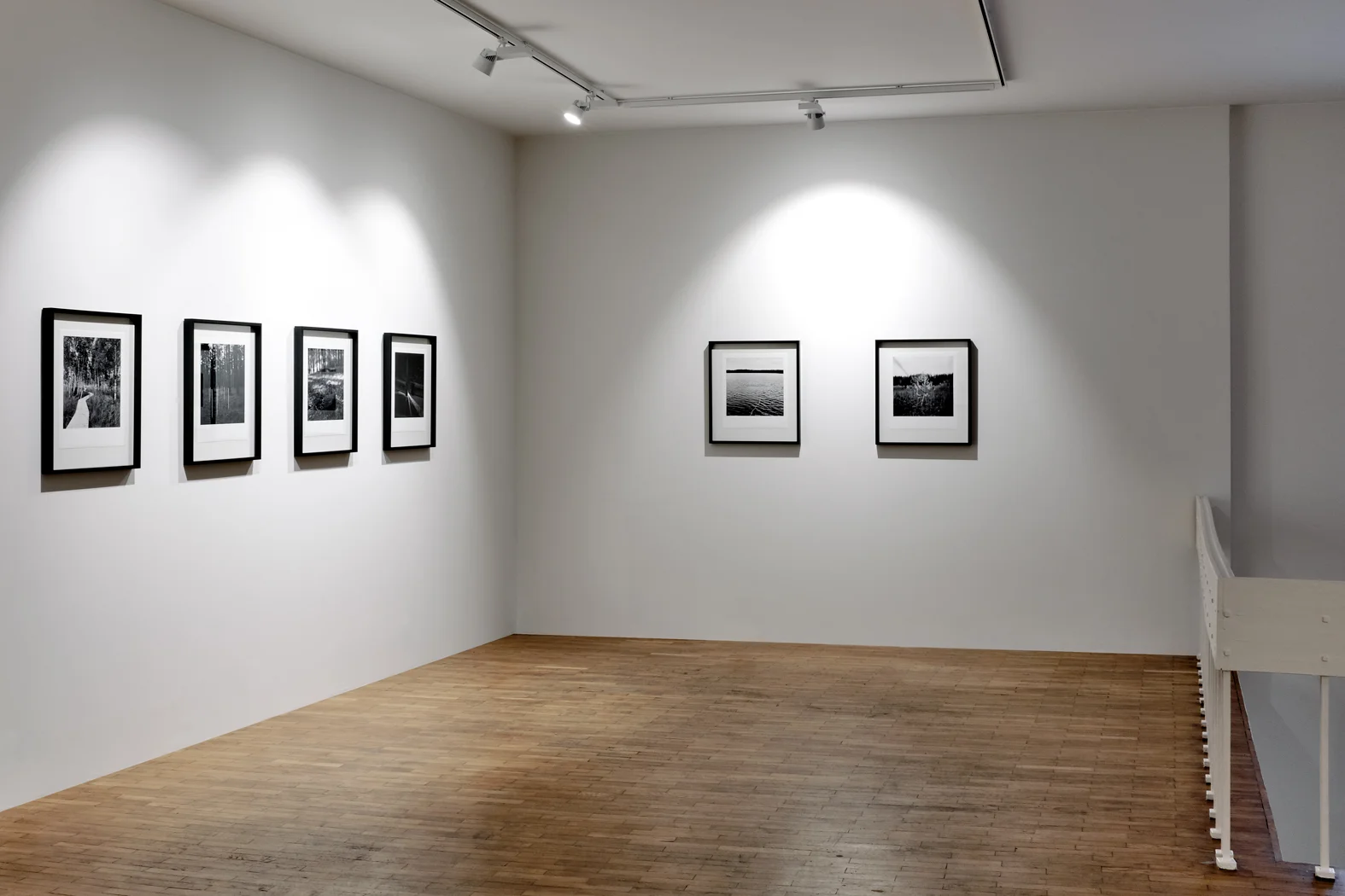Installation View / Photography exhibition Applications