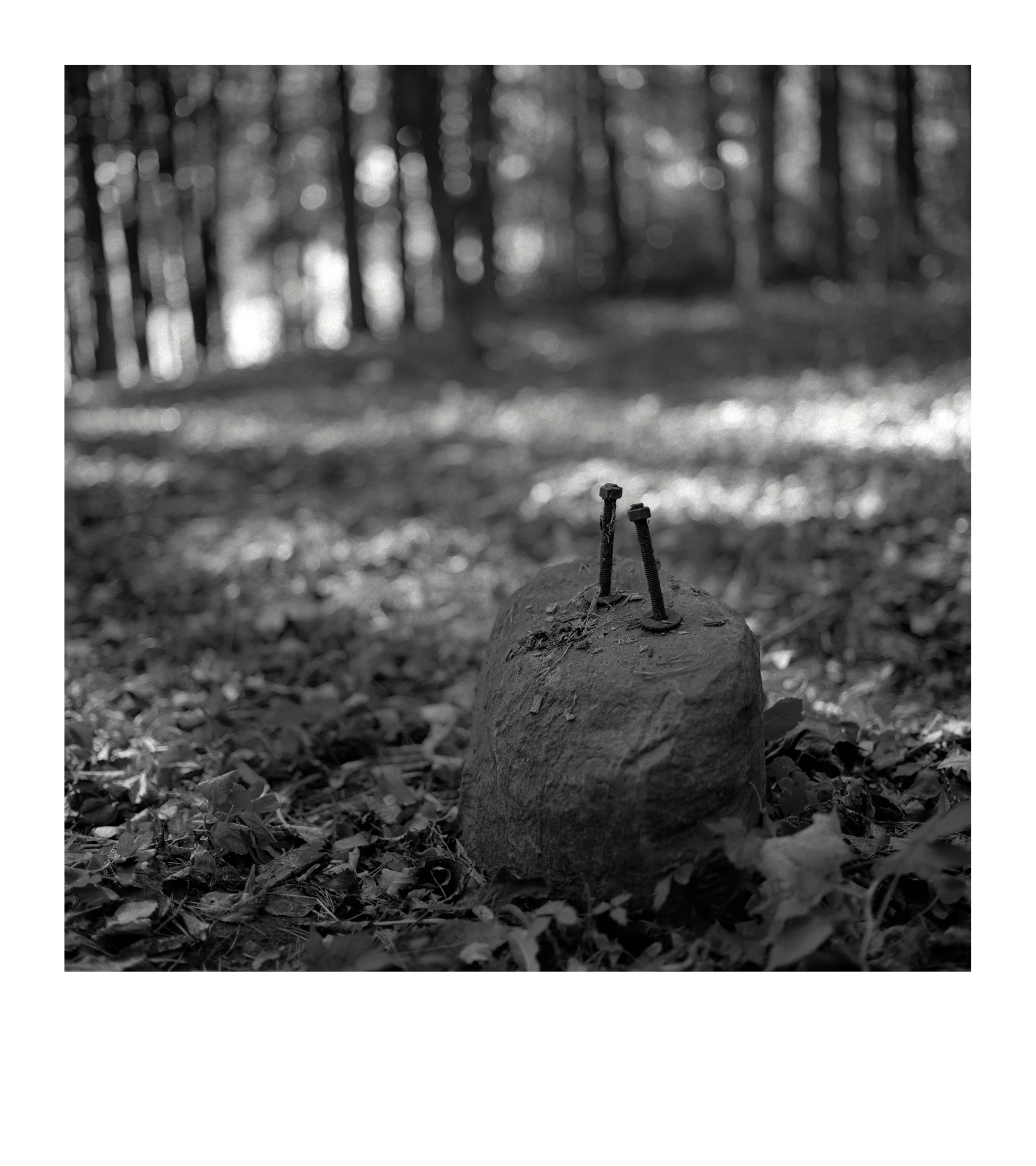 Alvydas Donela art project Applications 13.jpg