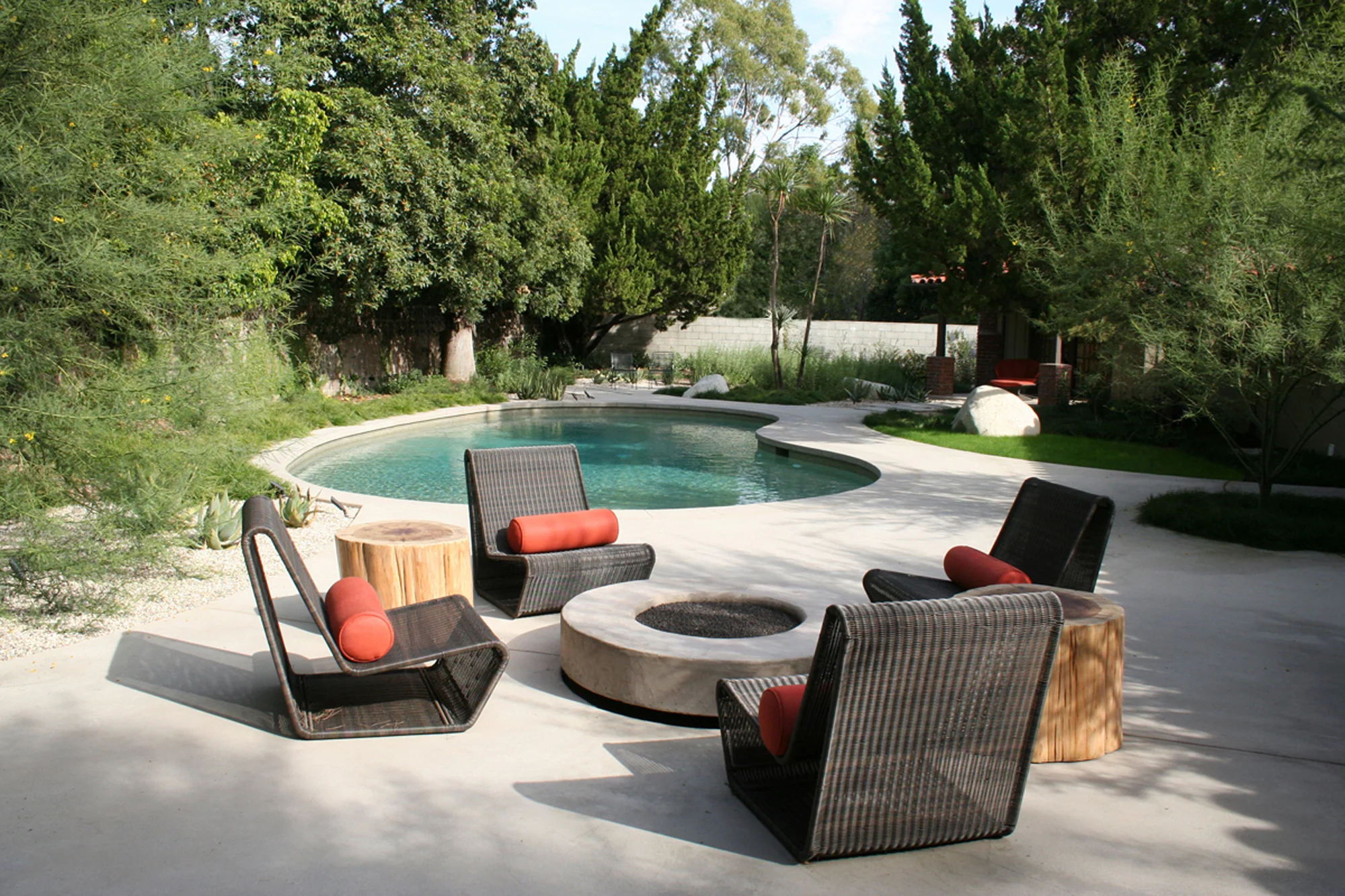 Back Yard.jpg