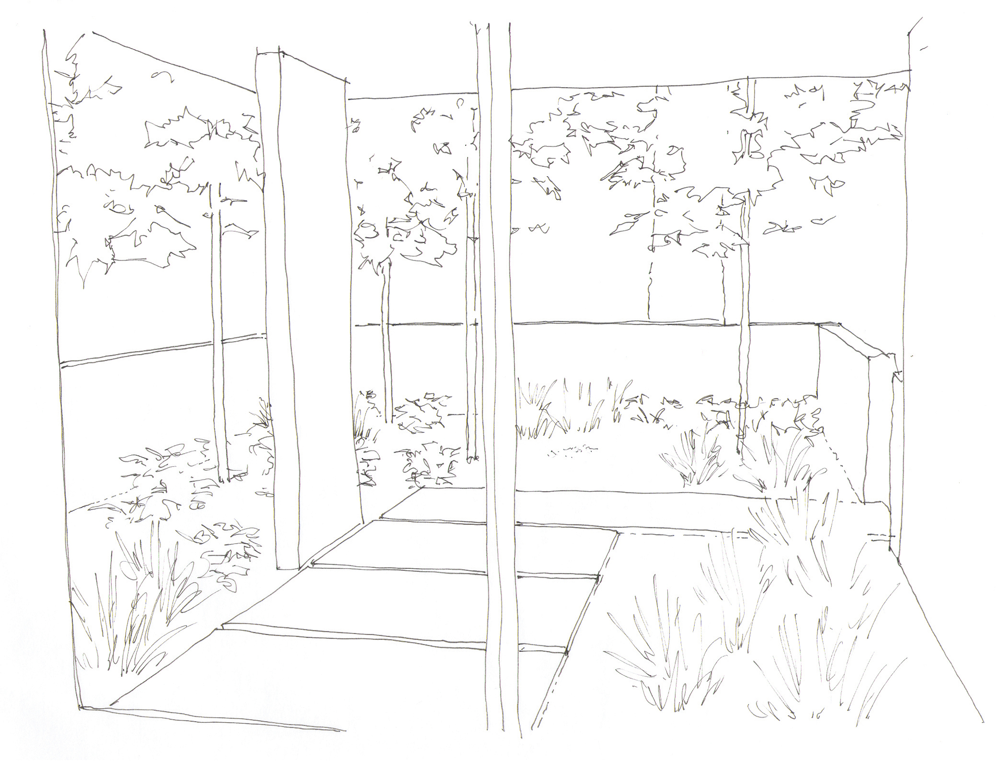entry view.jpg