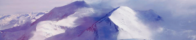 banner3.gif