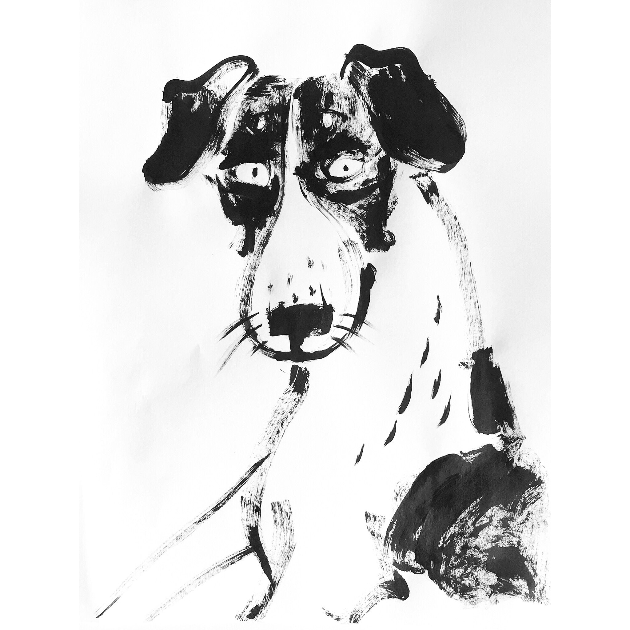 Portable Network Graphics image-FB89D8AA2C8C-1.png