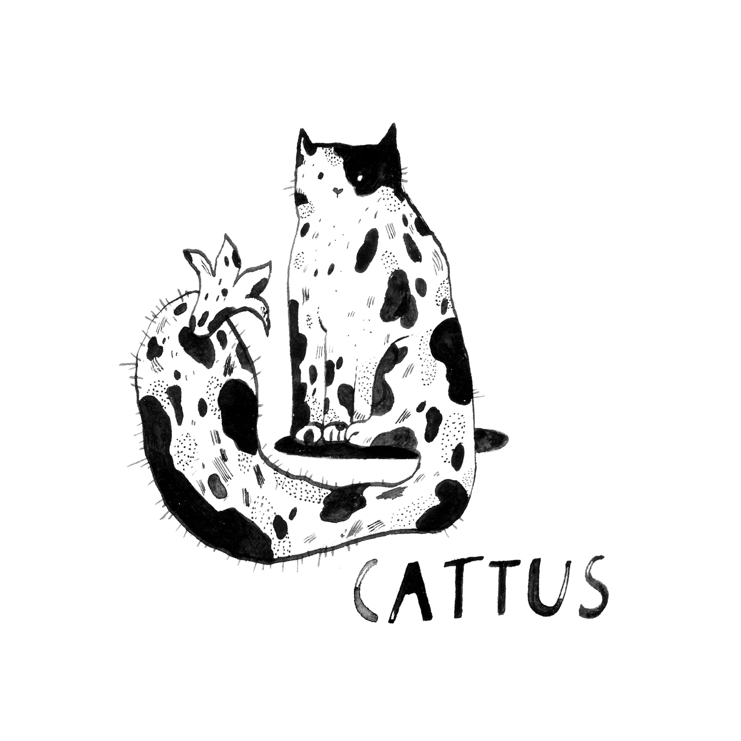 Cattus.jpg