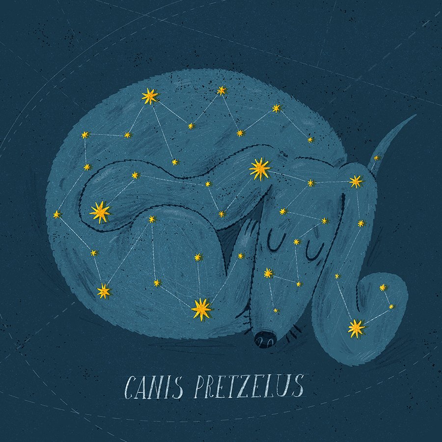 Canis Pretzelus by Yuliya Kashapova web.jpg