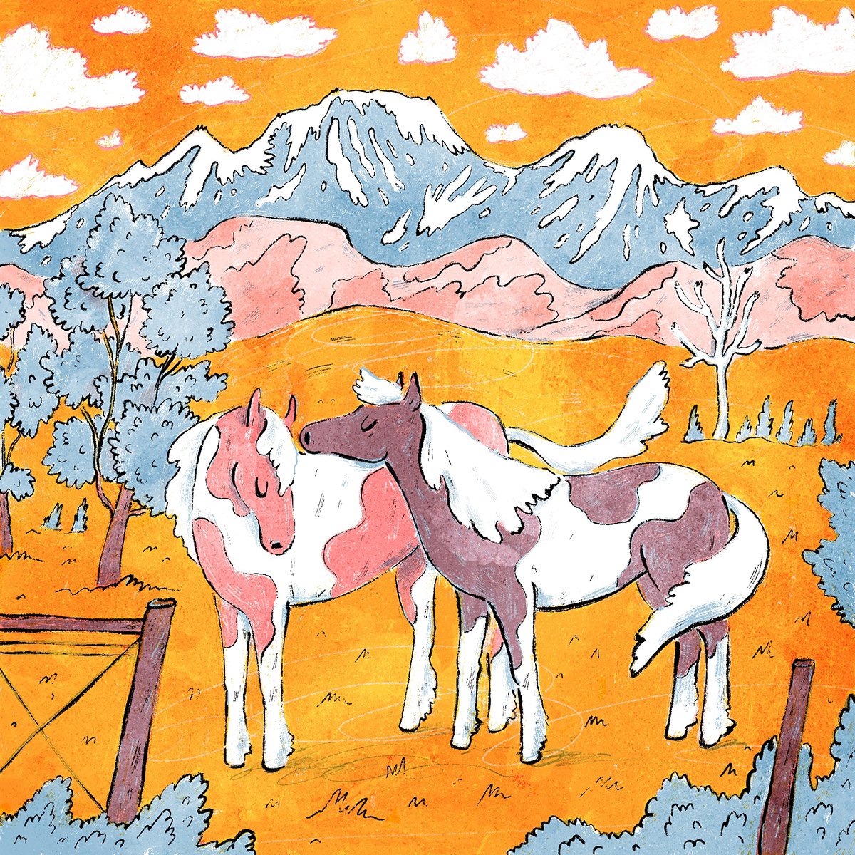 Montana horses.jpg