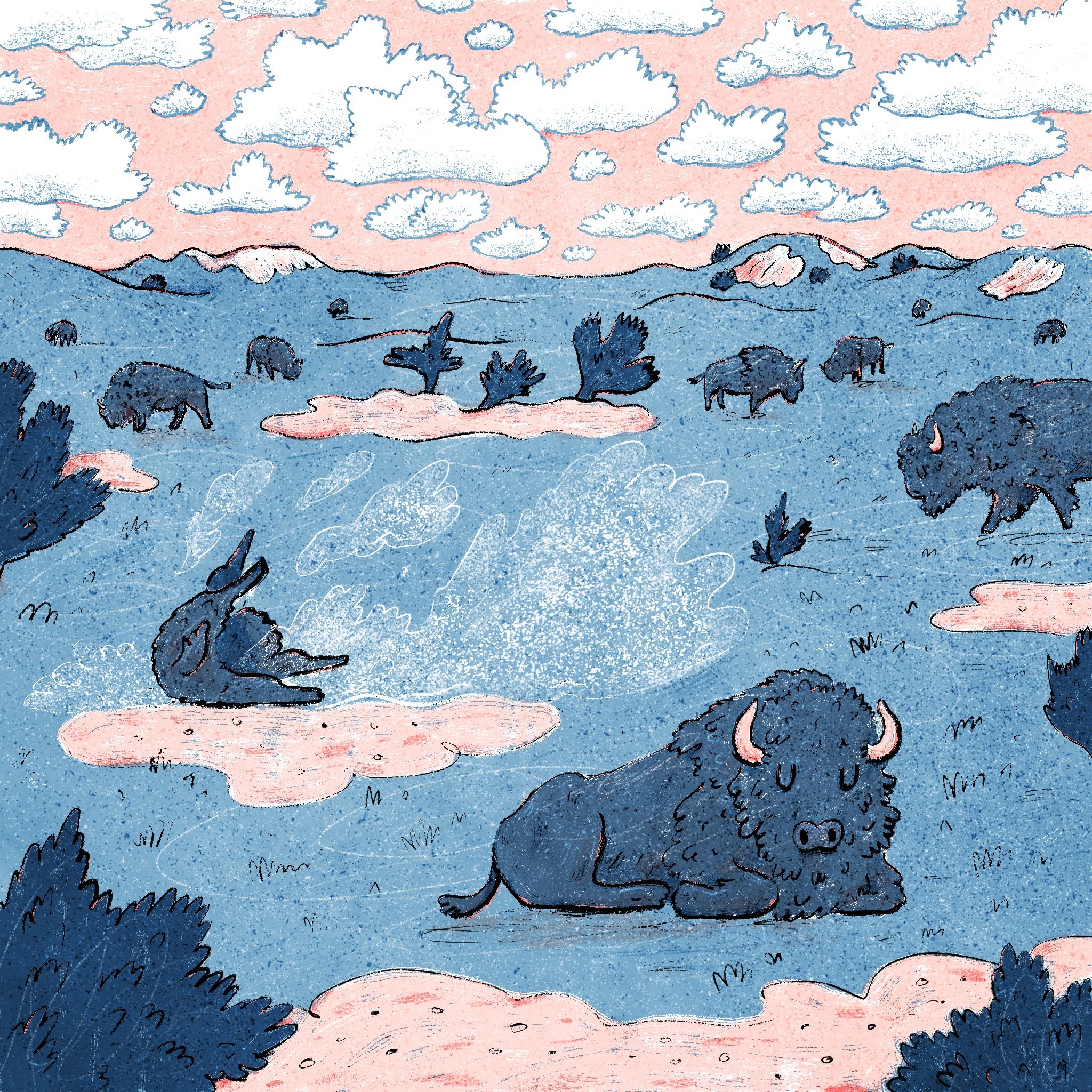 Badlands bison.jpg