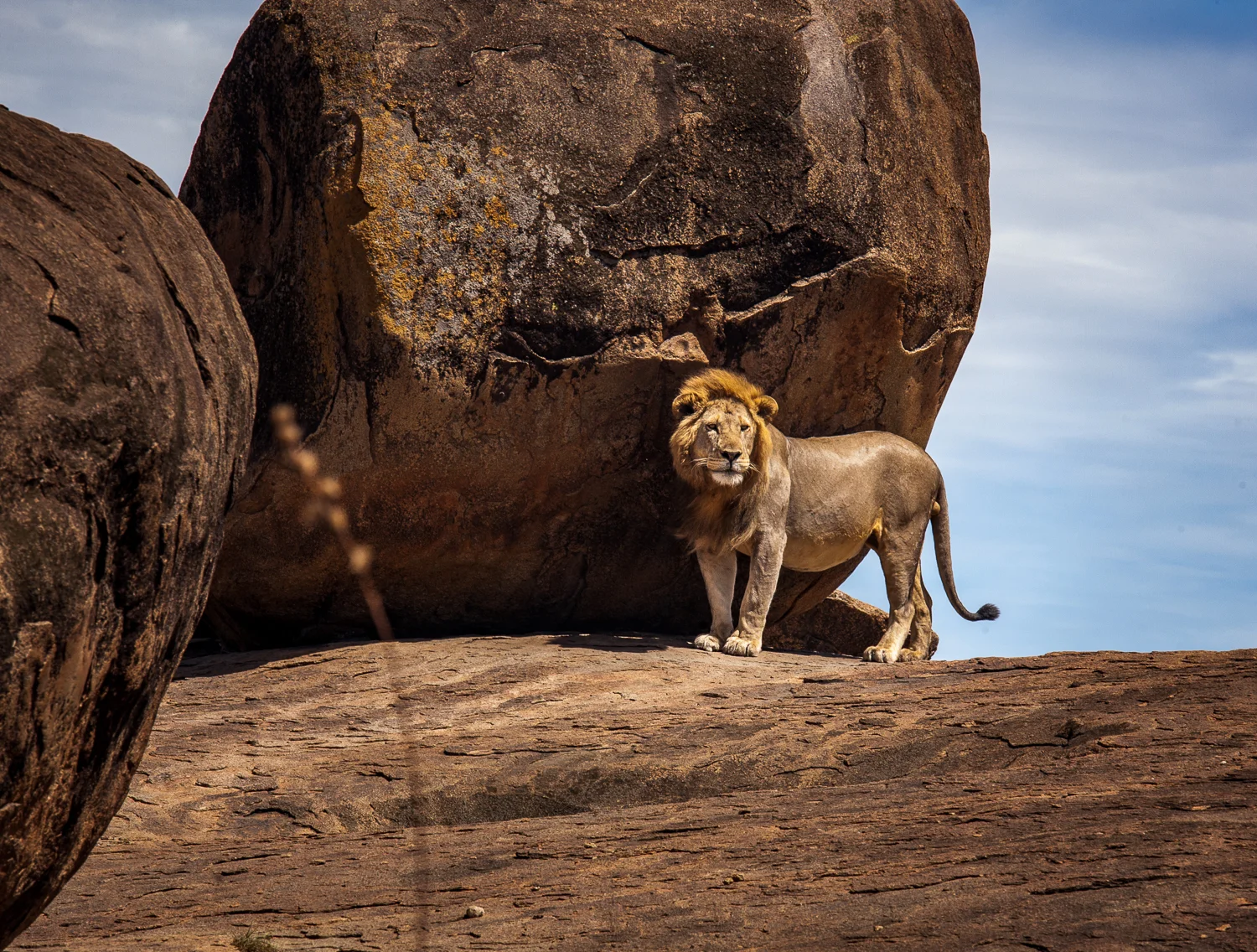 RCP African Journey-004__MG_2282.jpg