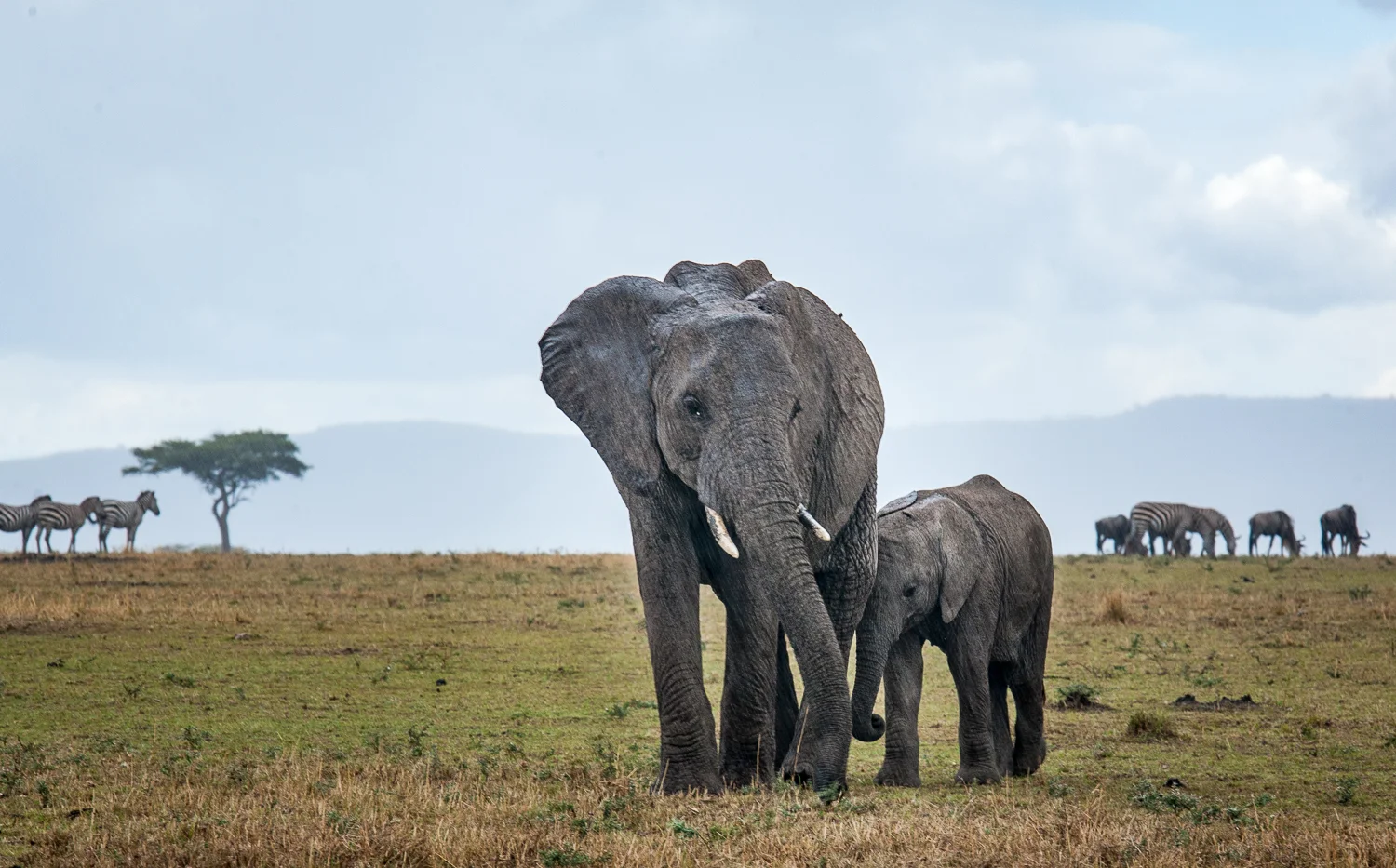 RCP African Journey-047__MG_2777.jpg