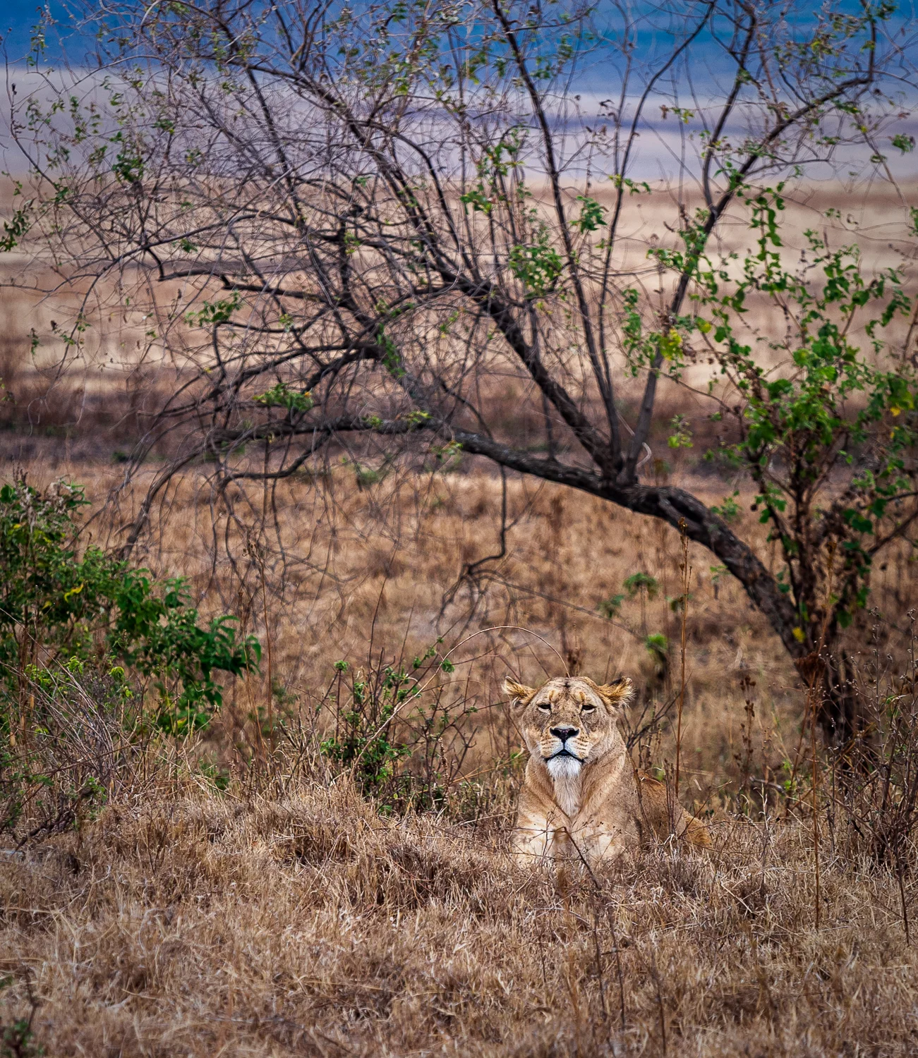 RCP African Journey-053__MG_2149.jpg