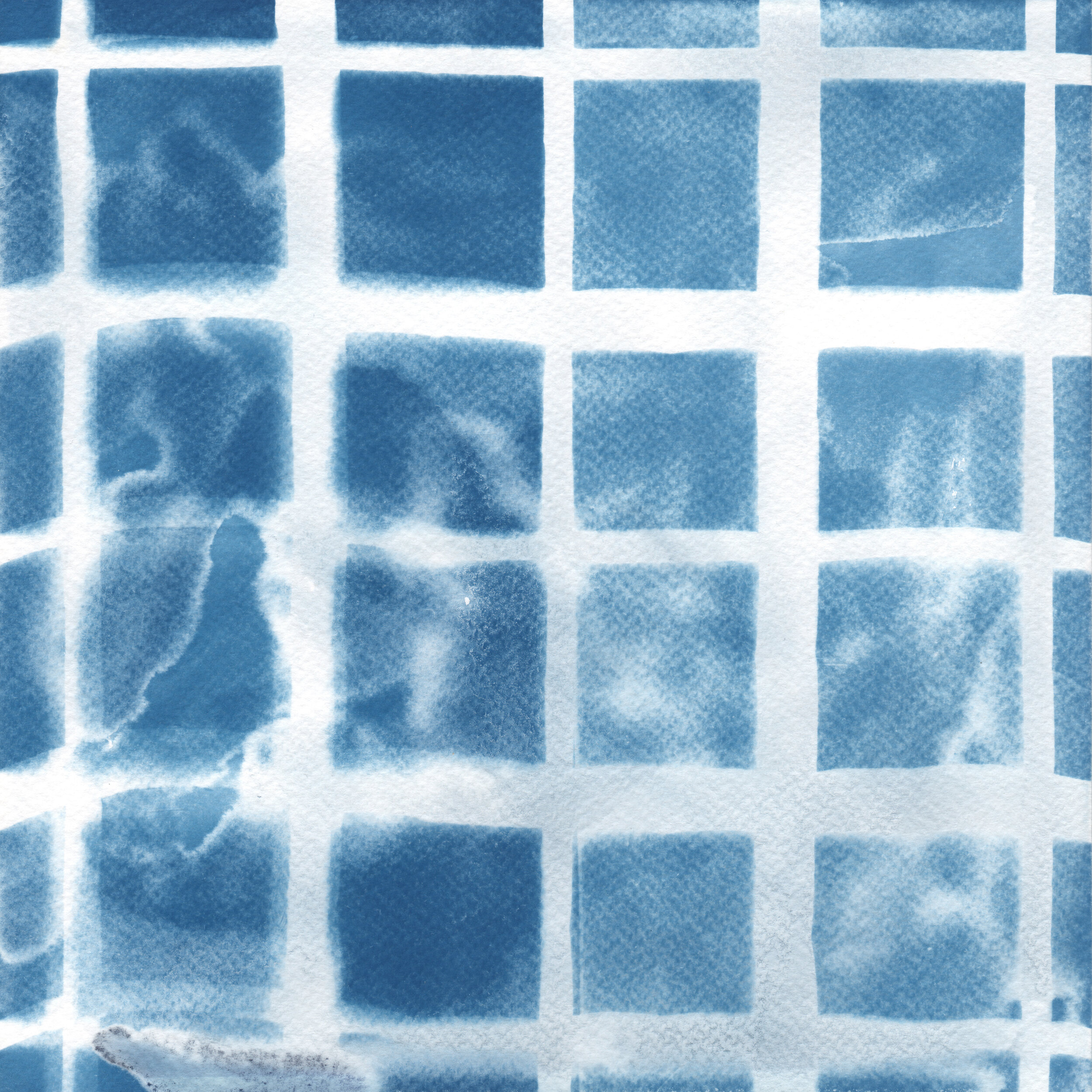 untitled (screen 084). 2018. cyanotype. 9 x 9 inches