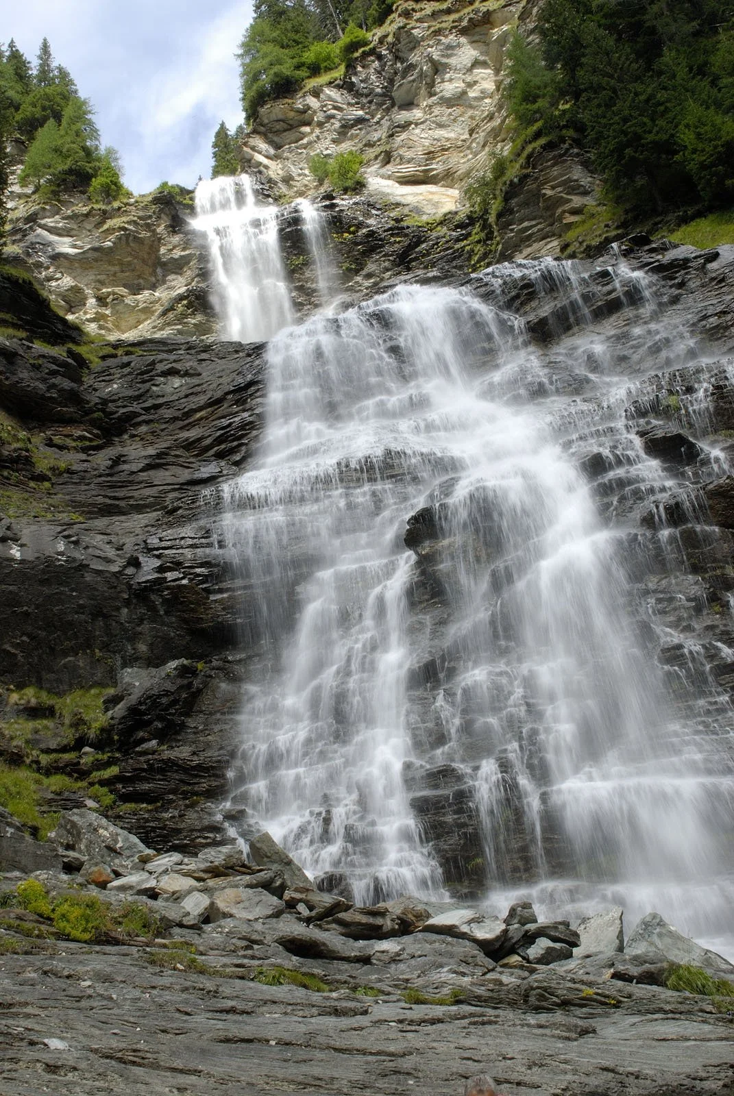 _DSC1217.jpg