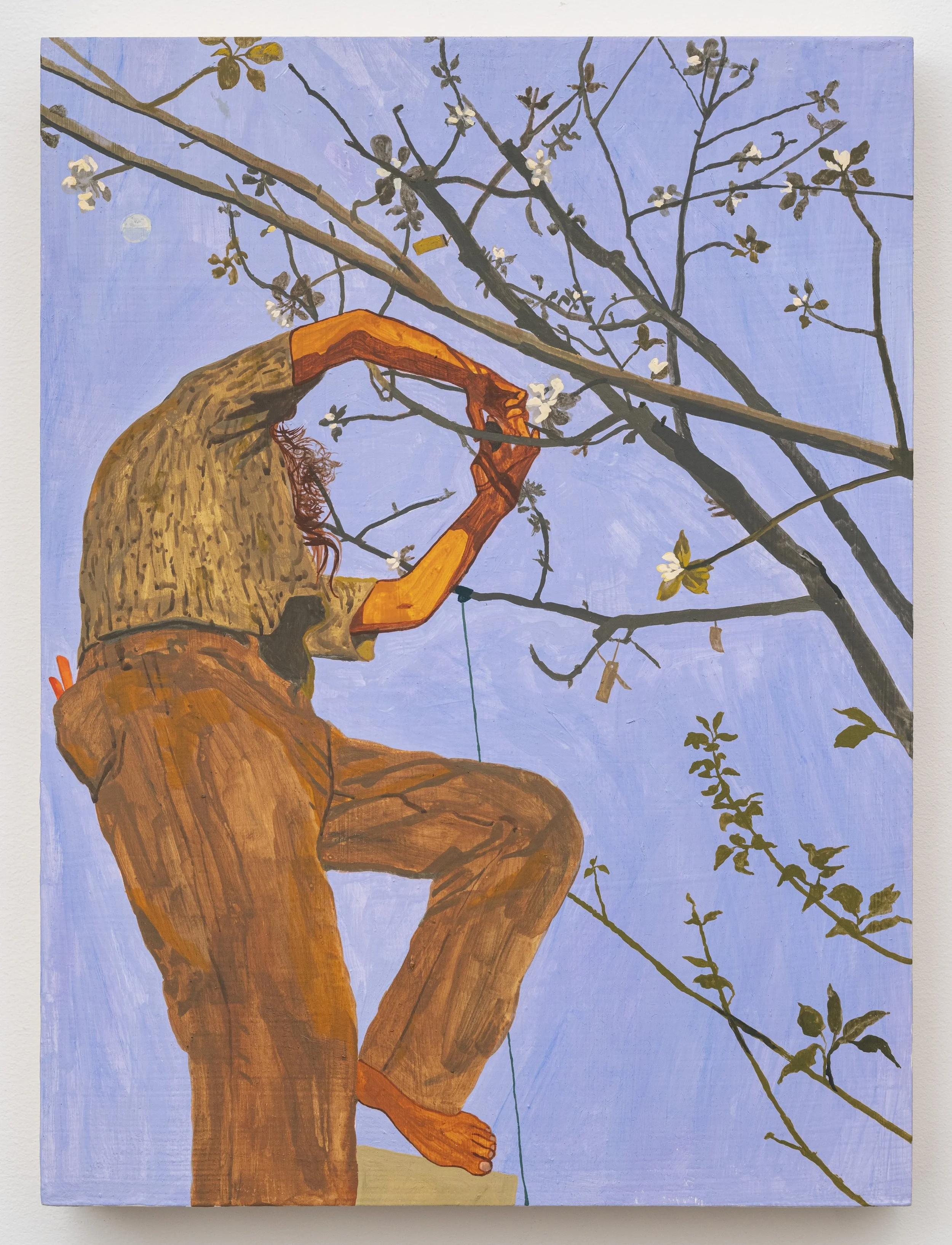   The Strategy of Composition  