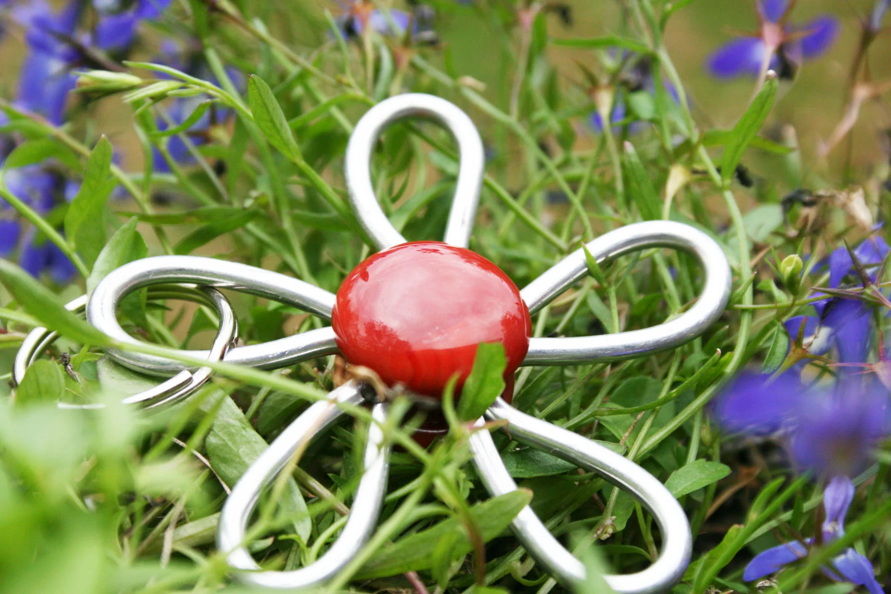 keyflower1d.jpg