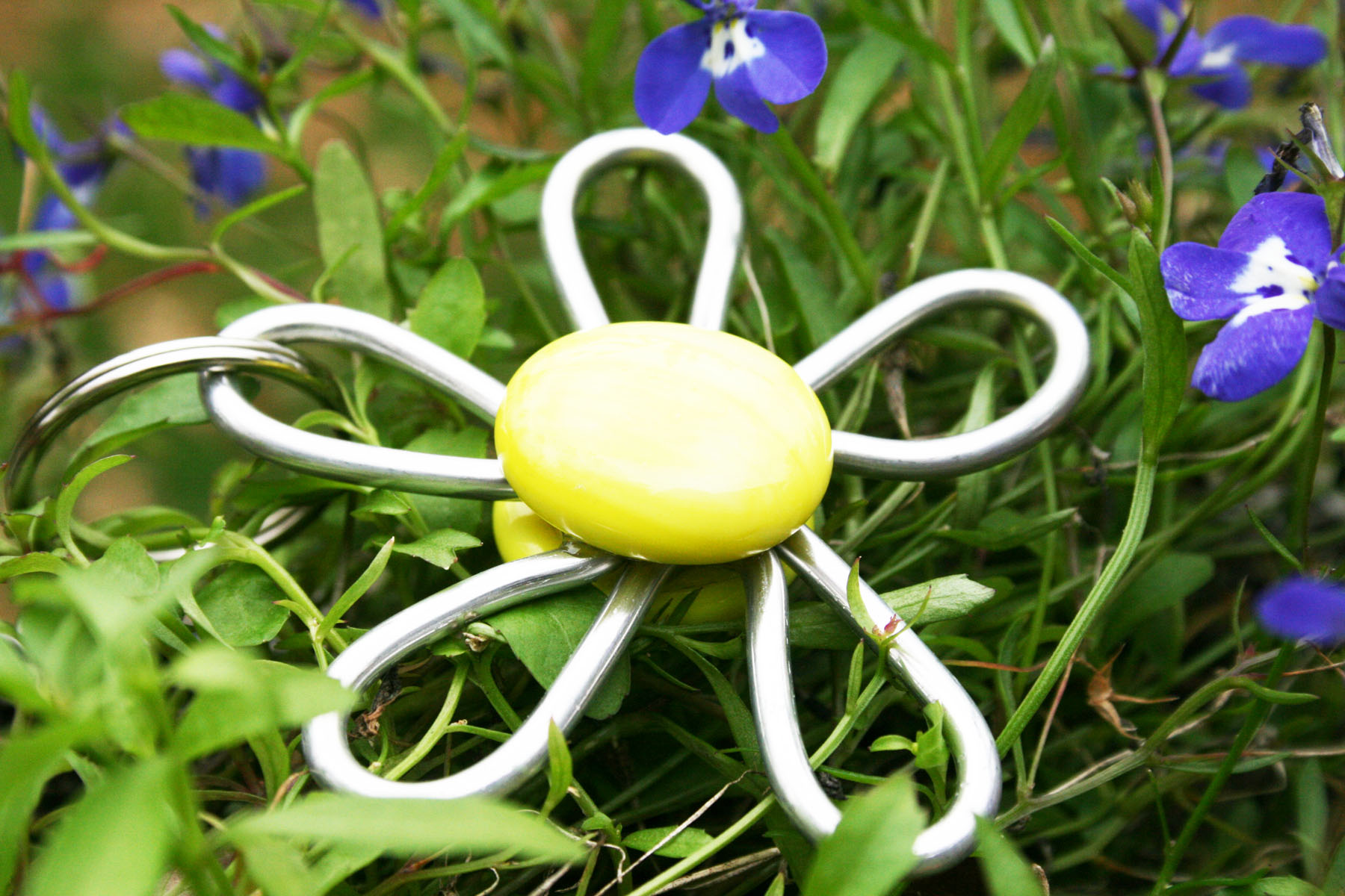 keyflower4c.jpg