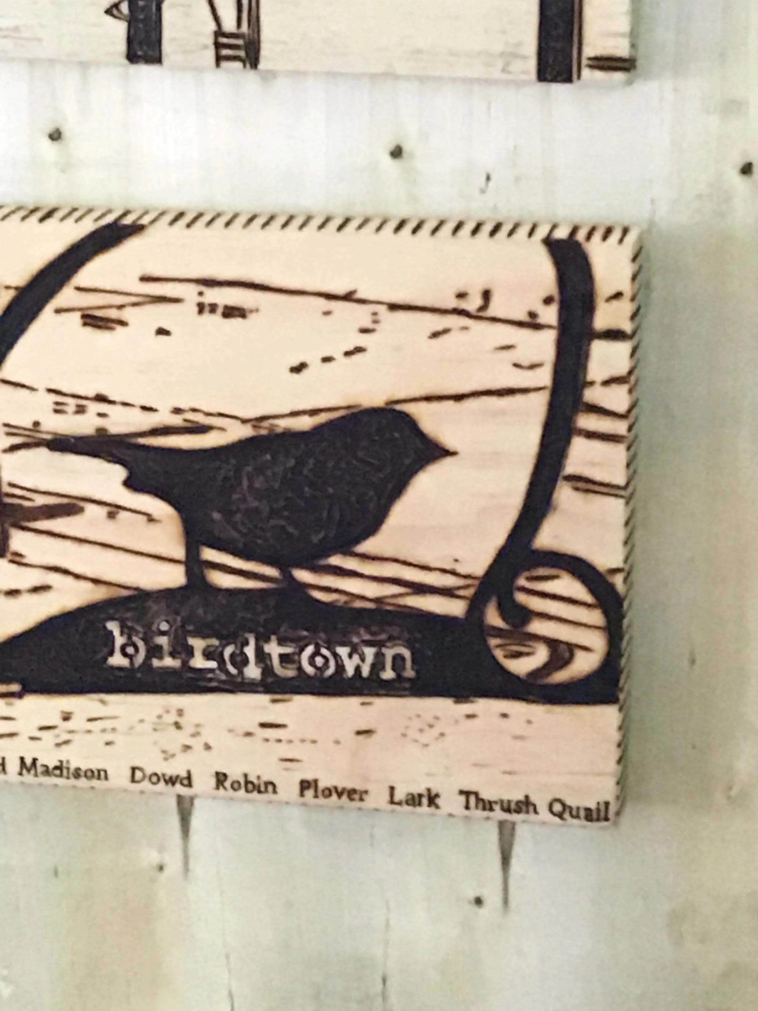 lakewoodohiobirdtown.jpg